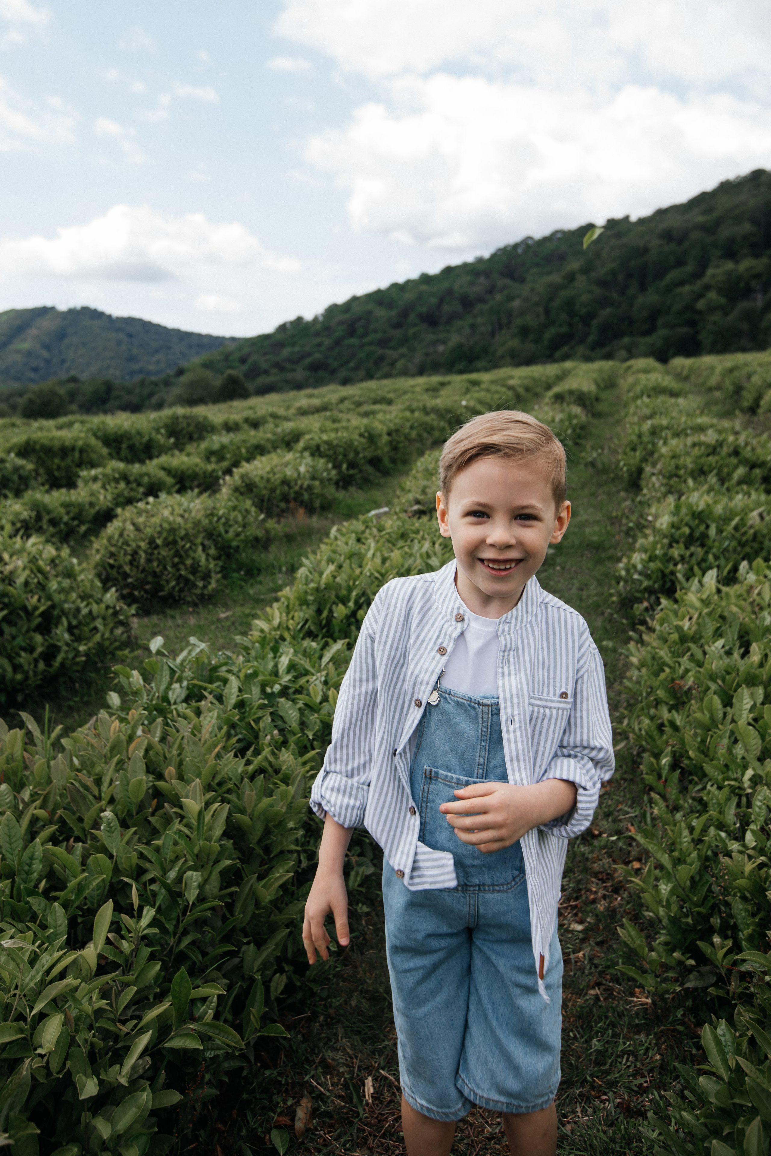 Tea plantation. Efimova Model Agency