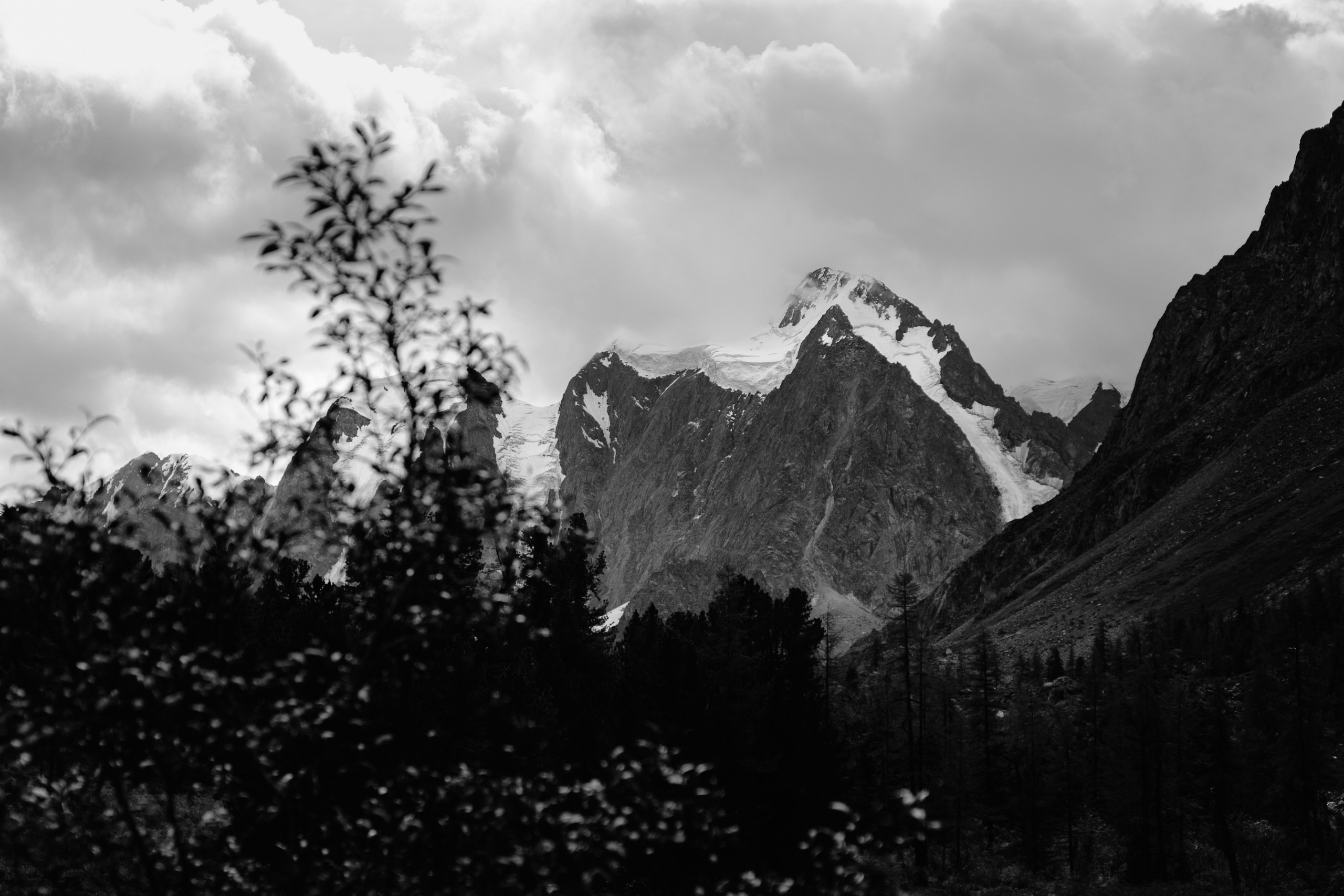 Шавлинские. Главная