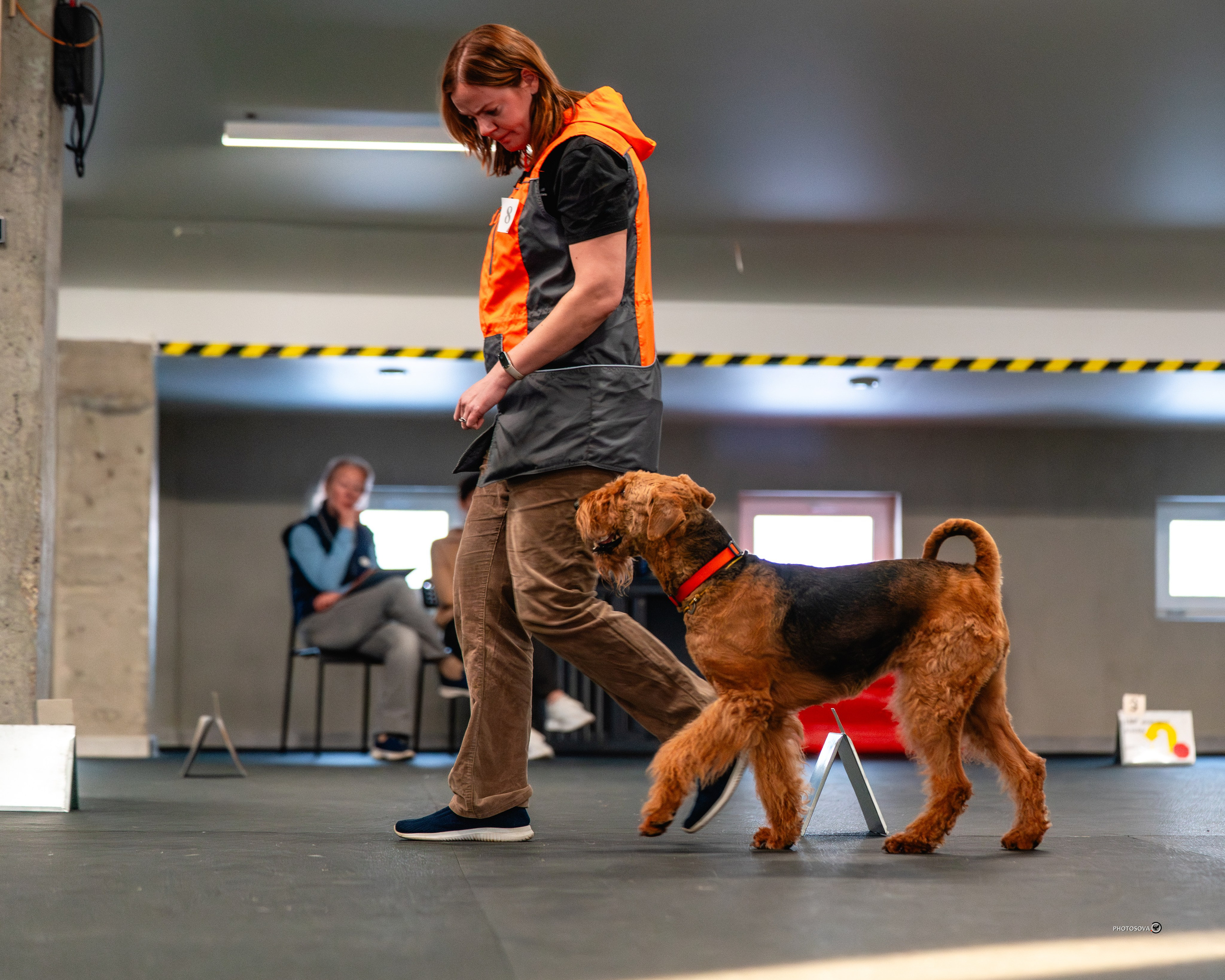 ТЫ И Я (соревнования по ралли-обидиенс). Фотограф-анималист, семейный фотограф в Москве и Подмосковье. Фотосъёмка кинологических дисциплин