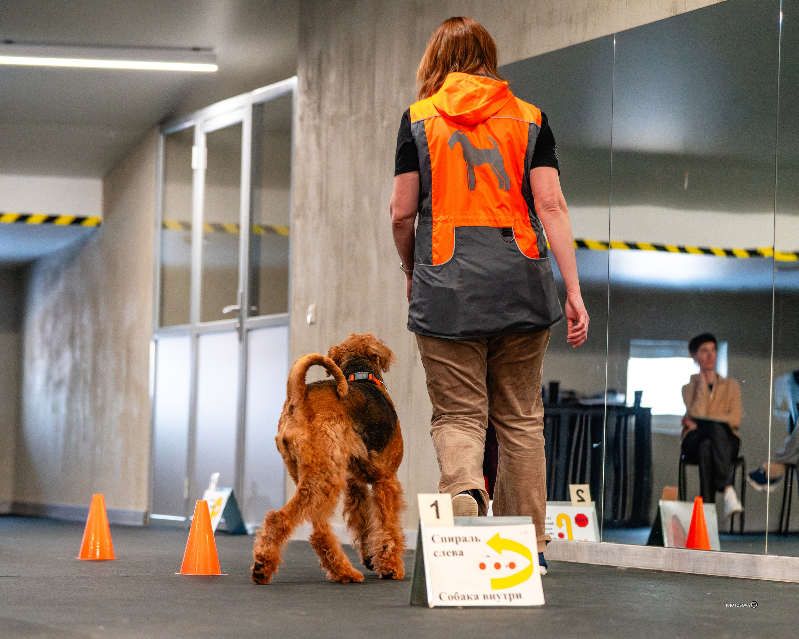 ТЫ И Я (соревнования по ралли-обидиенс). Фотограф-анималист, семейный фотограф в Москве и Подмосковье. Фотосъёмка кинологических дисциплин
