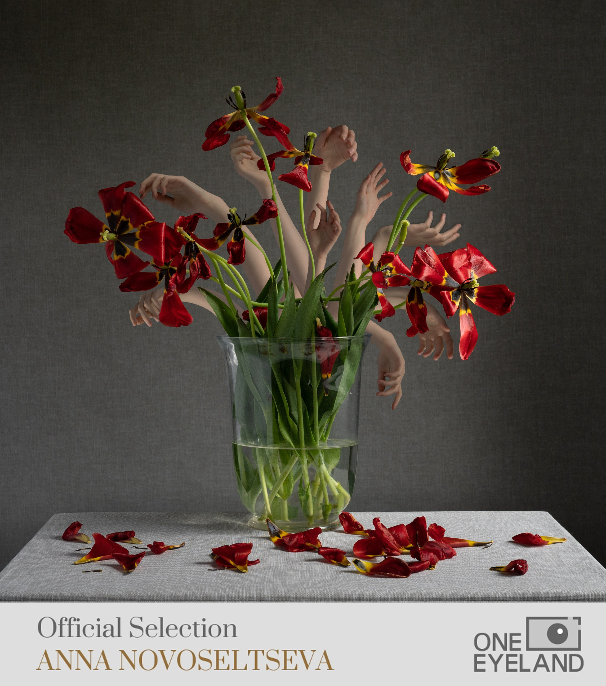 Анна Новосельцева. Индивидуальные фотосессии в Москве и М.О