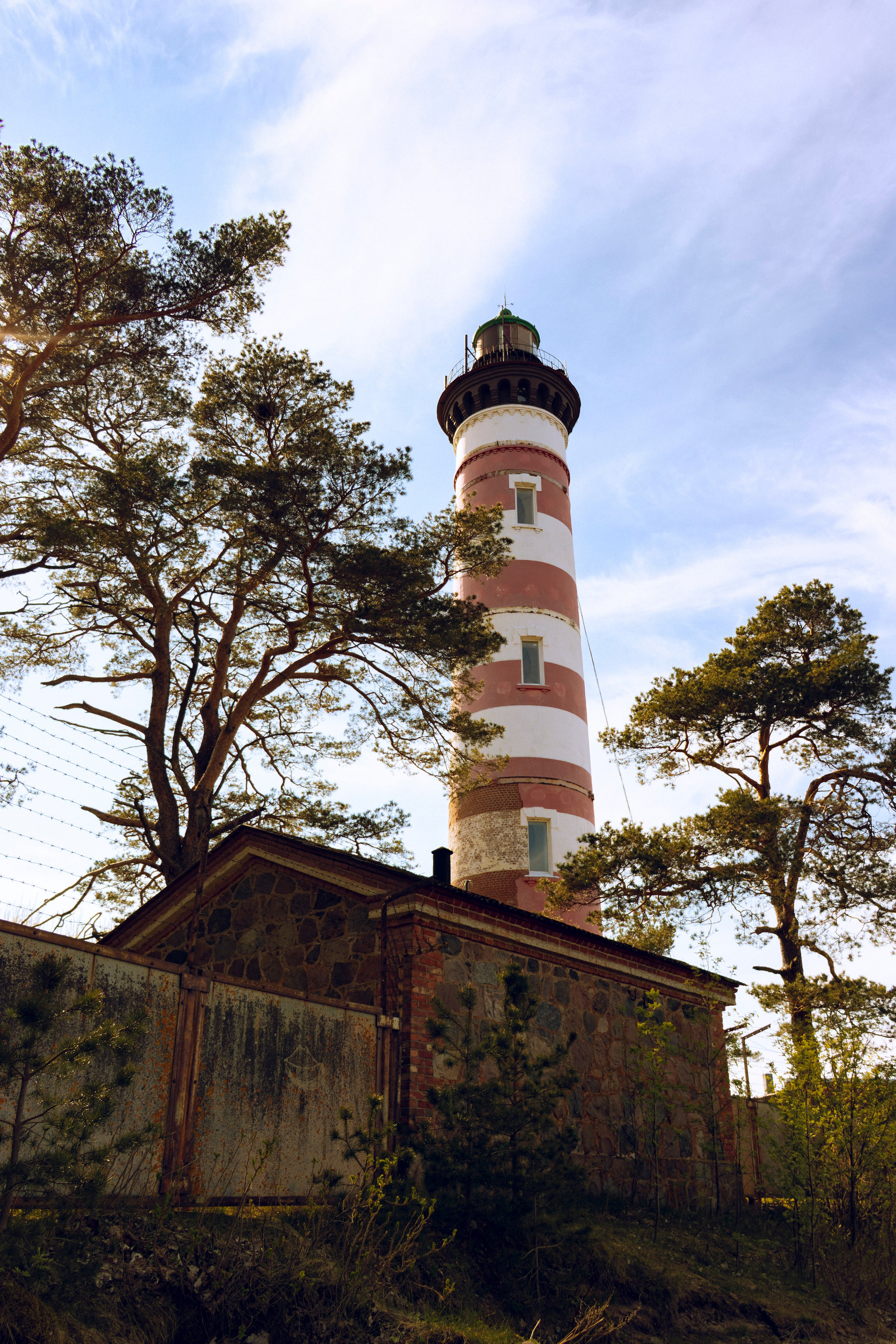 Из наблюдений. Плак или Квак