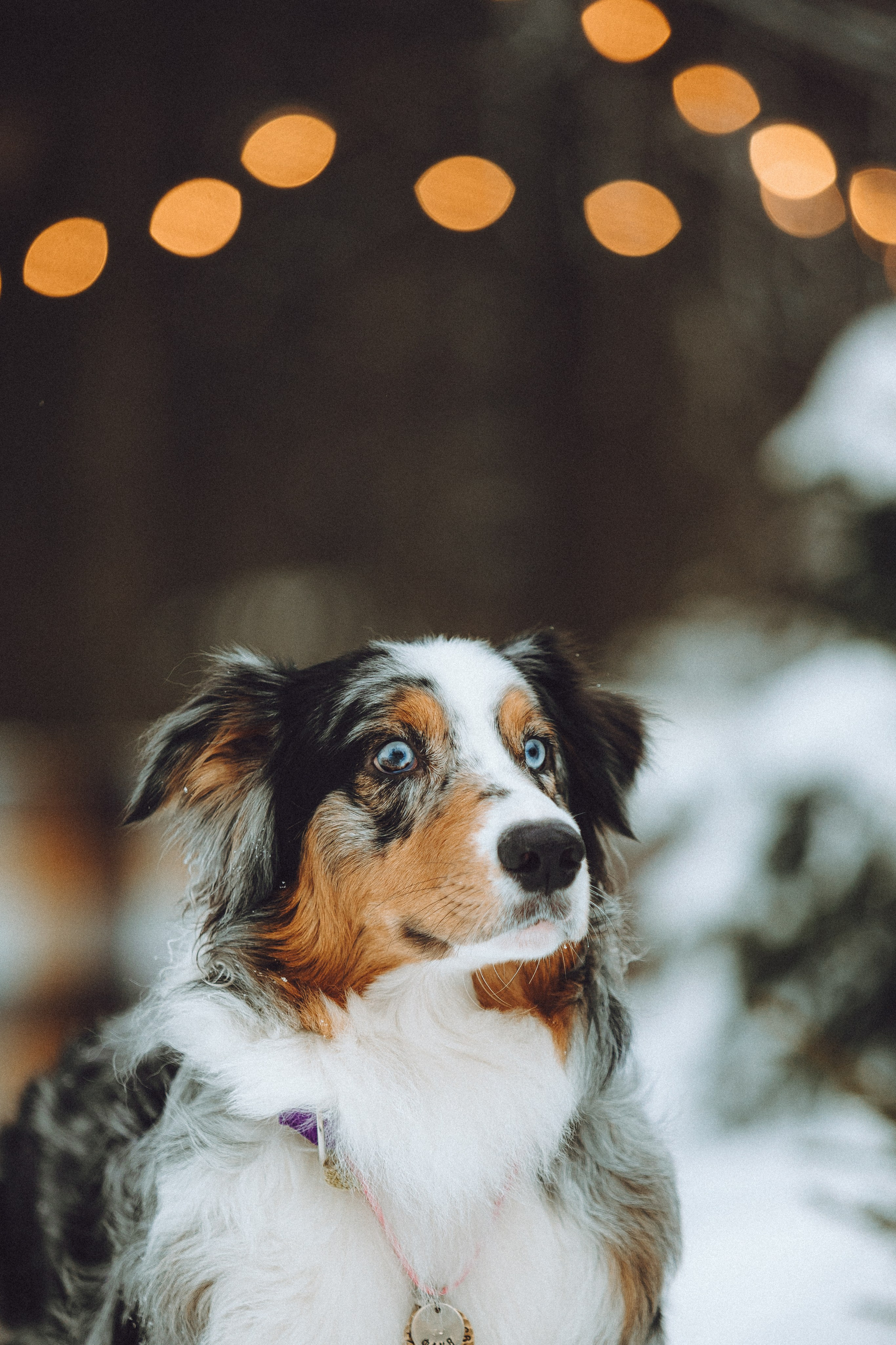 Фаня и ее семья