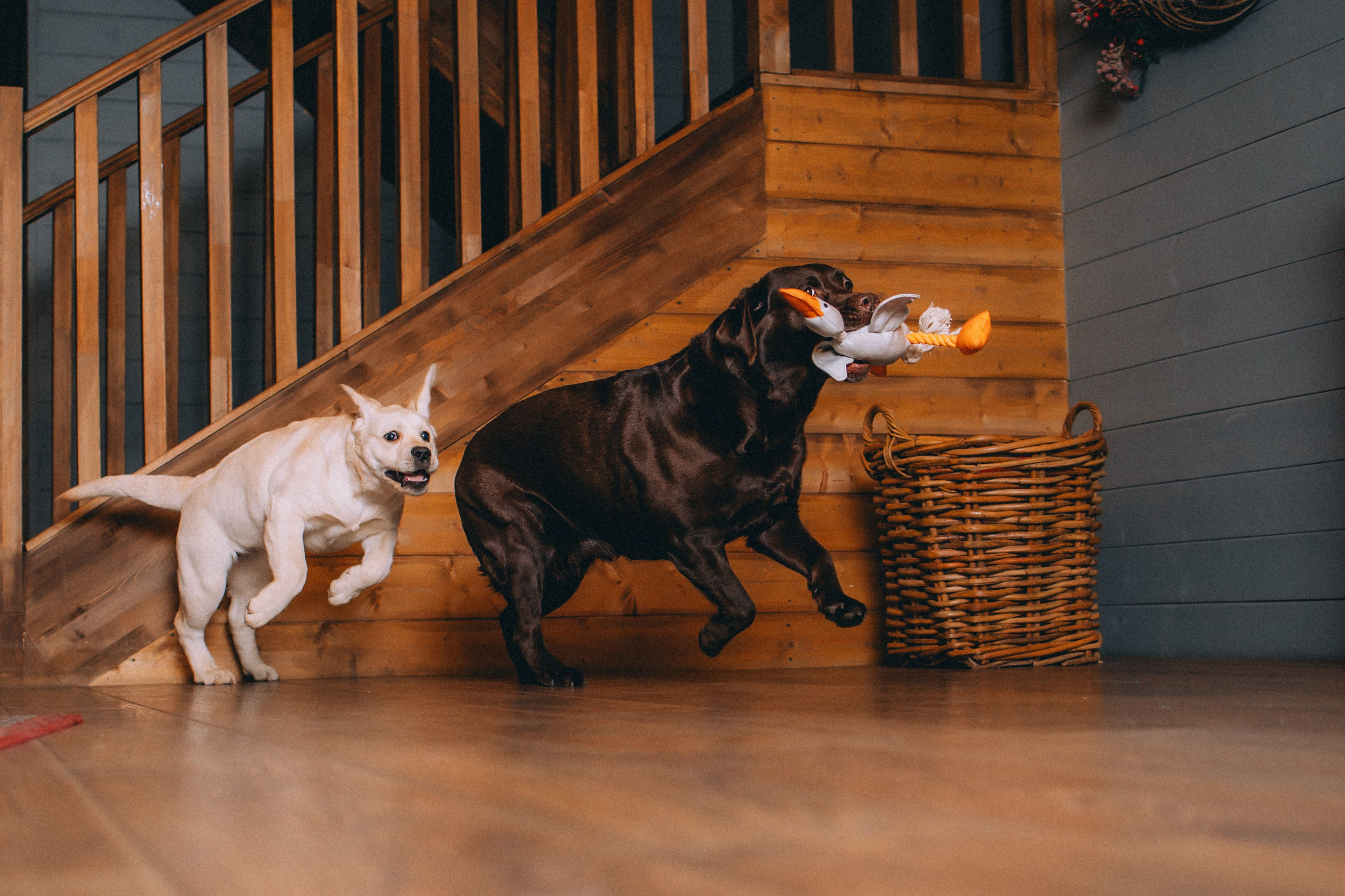 Ума, Берта и их семья