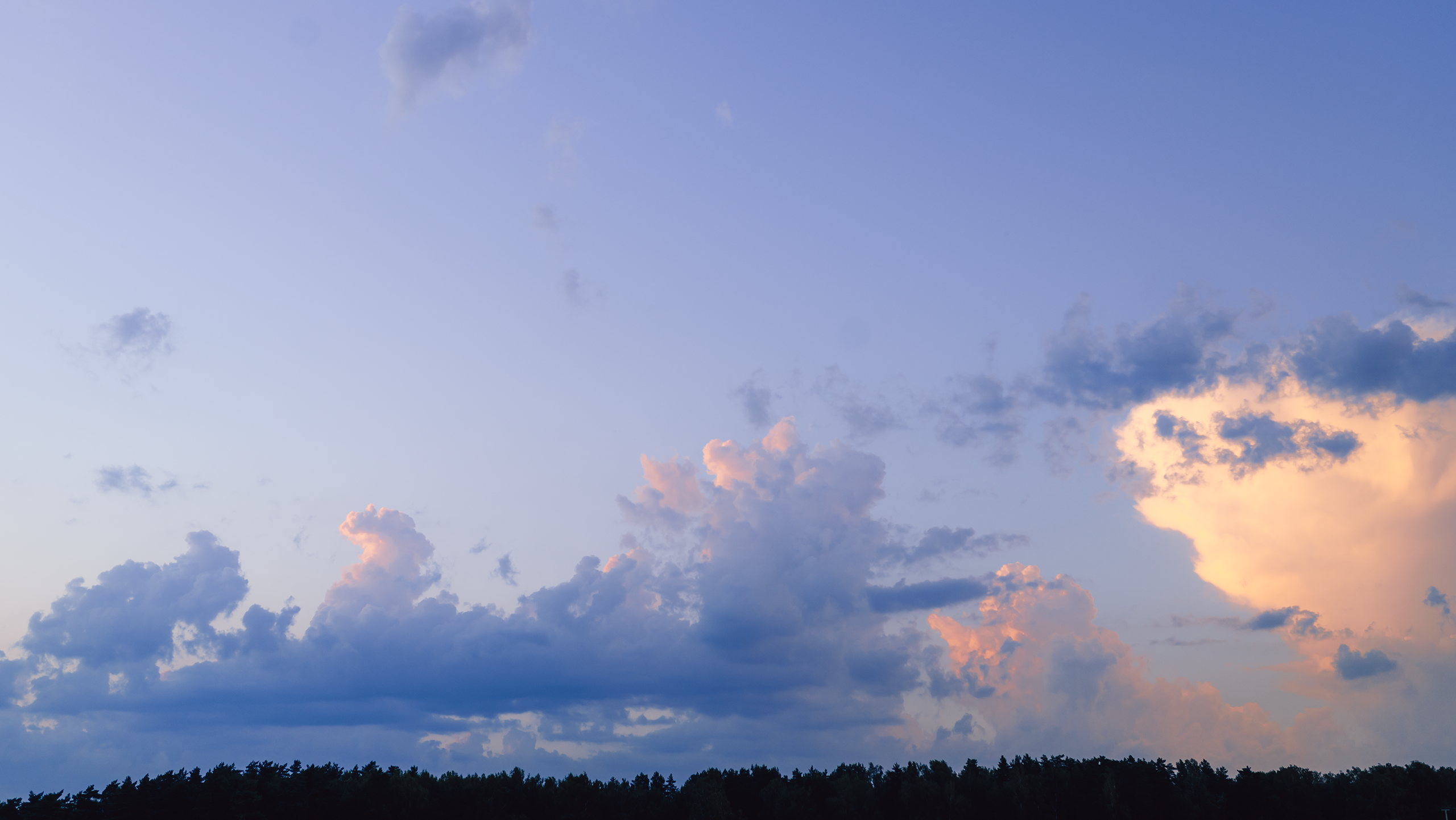 Небо видело всё. Komonev