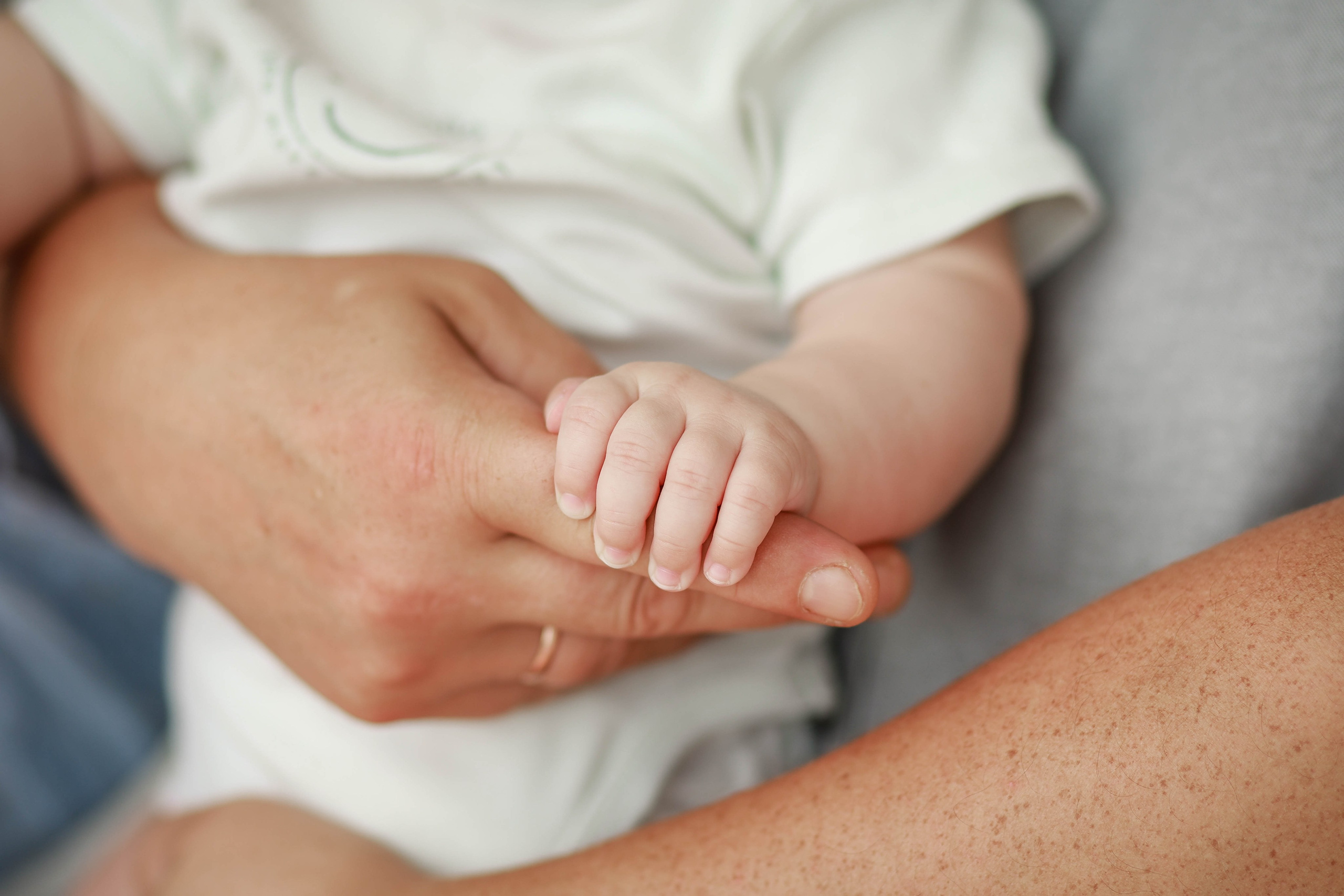 Лев. Семейный фотограф в Люберцах Шешина Анастасия