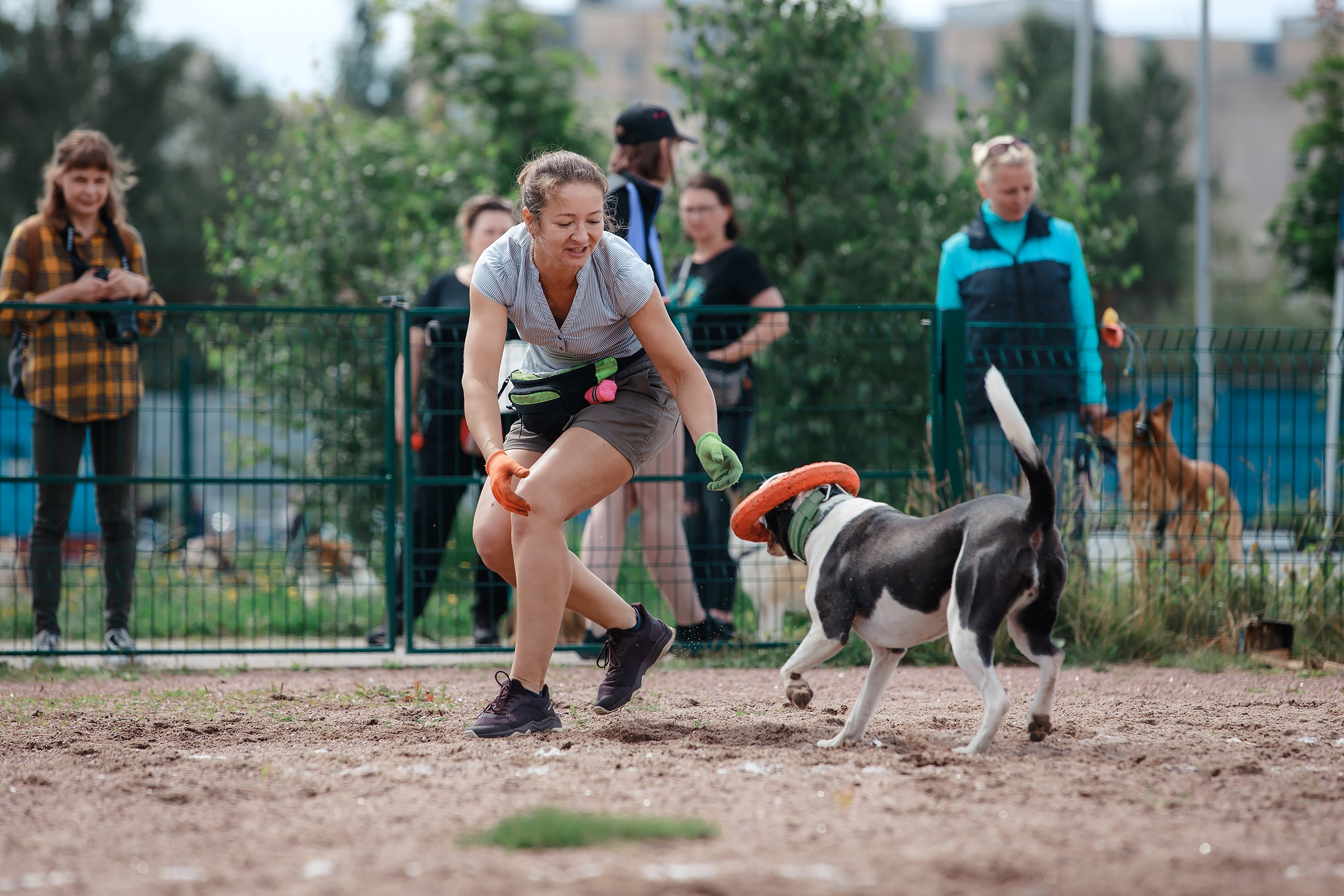 Питч&Гоу + веселые старты. Фотограф-анималист Mary Mart — Москва, Питер