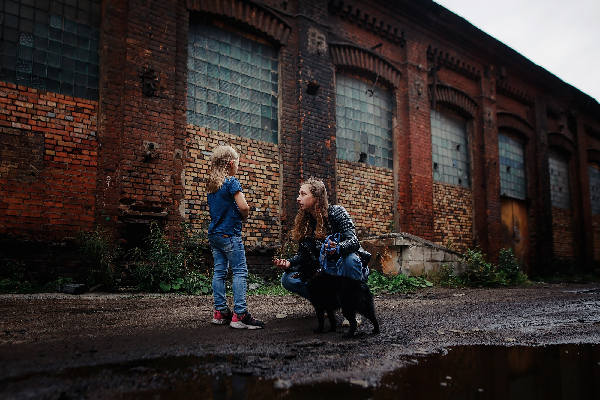 Саша, Маша и шипперке Йети. Фотограф-анималист Mary Mart — Москва, Питер
