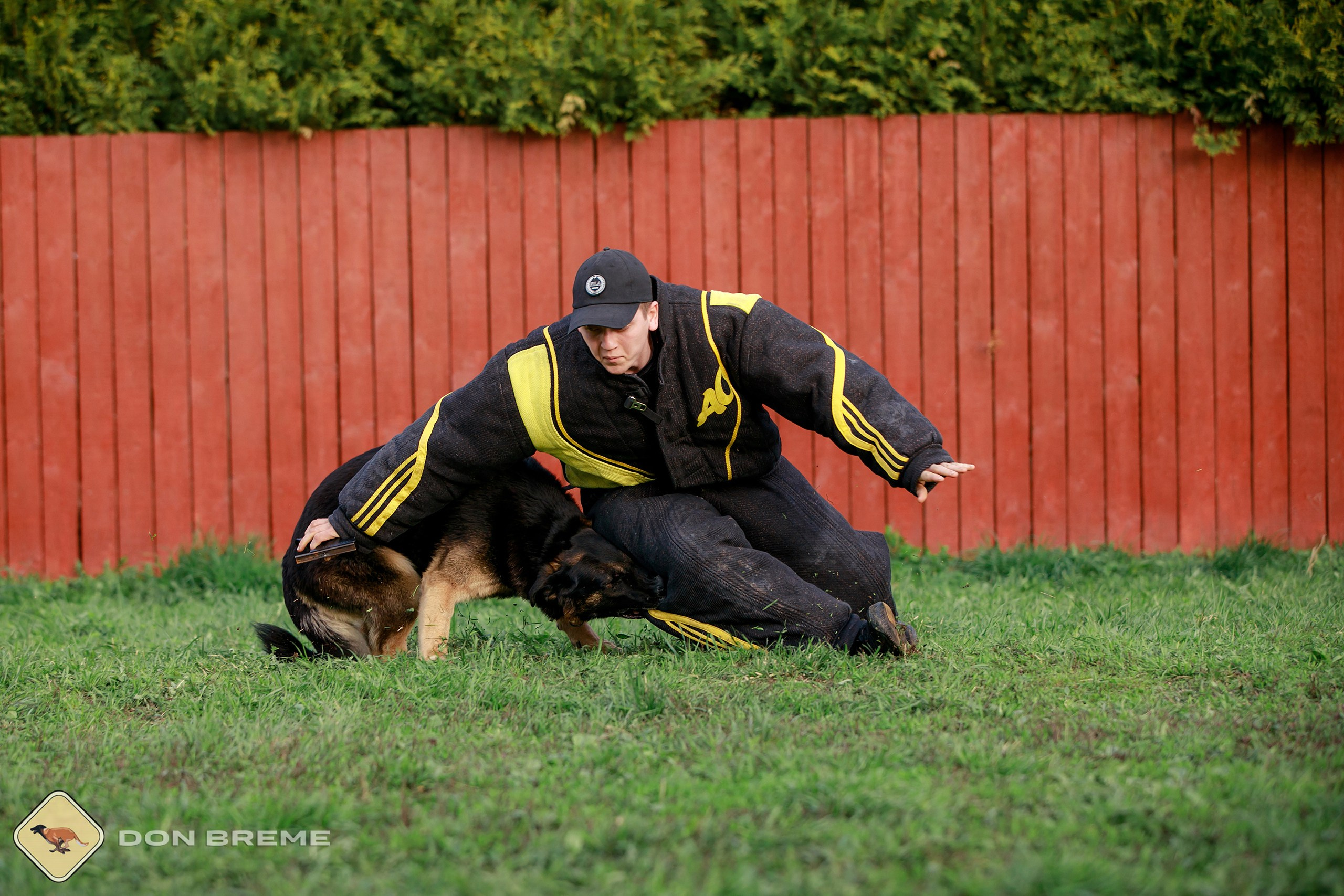 Семинар для фигурантов, день 2. Фотограф-анималист Mary Mart — Москва, Питер