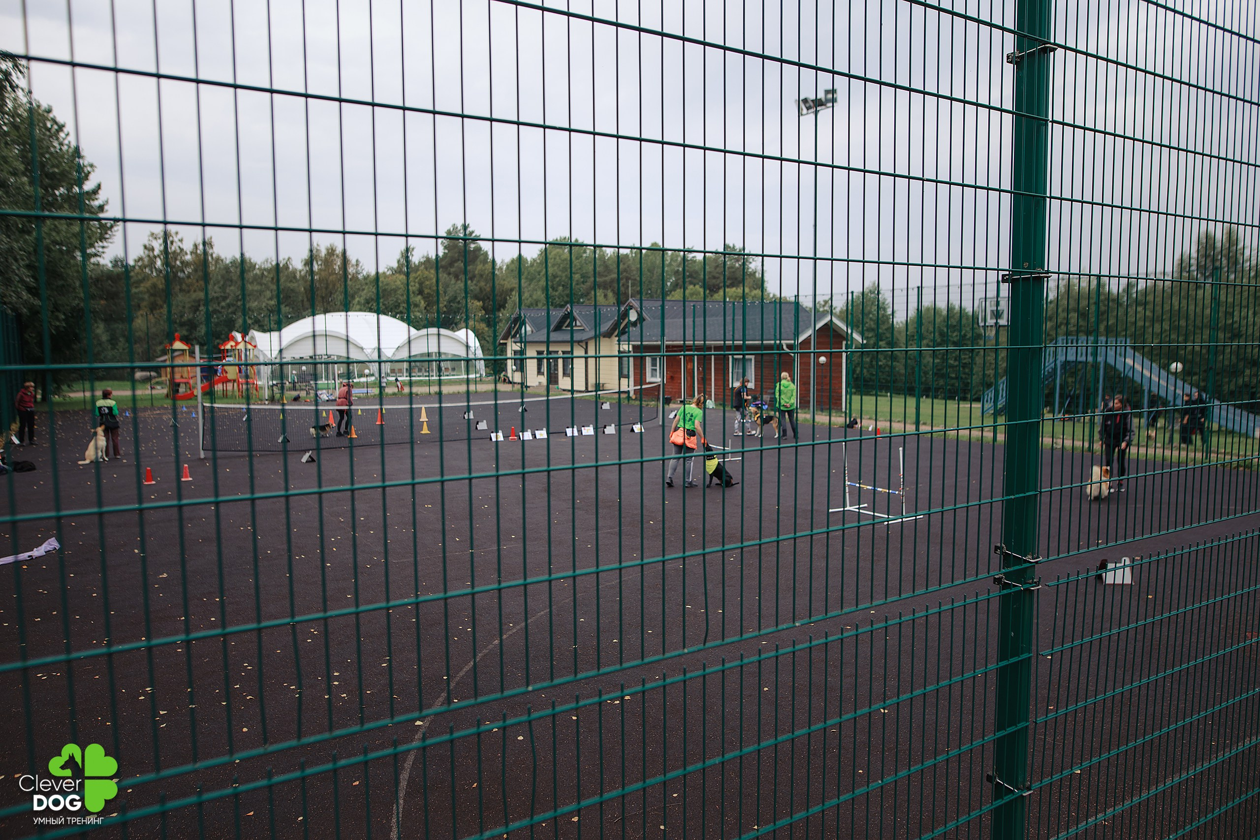 Кинологический лагерь CleverDog, 2024. Фотограф-анималист Mary Mart — Москва, Питер