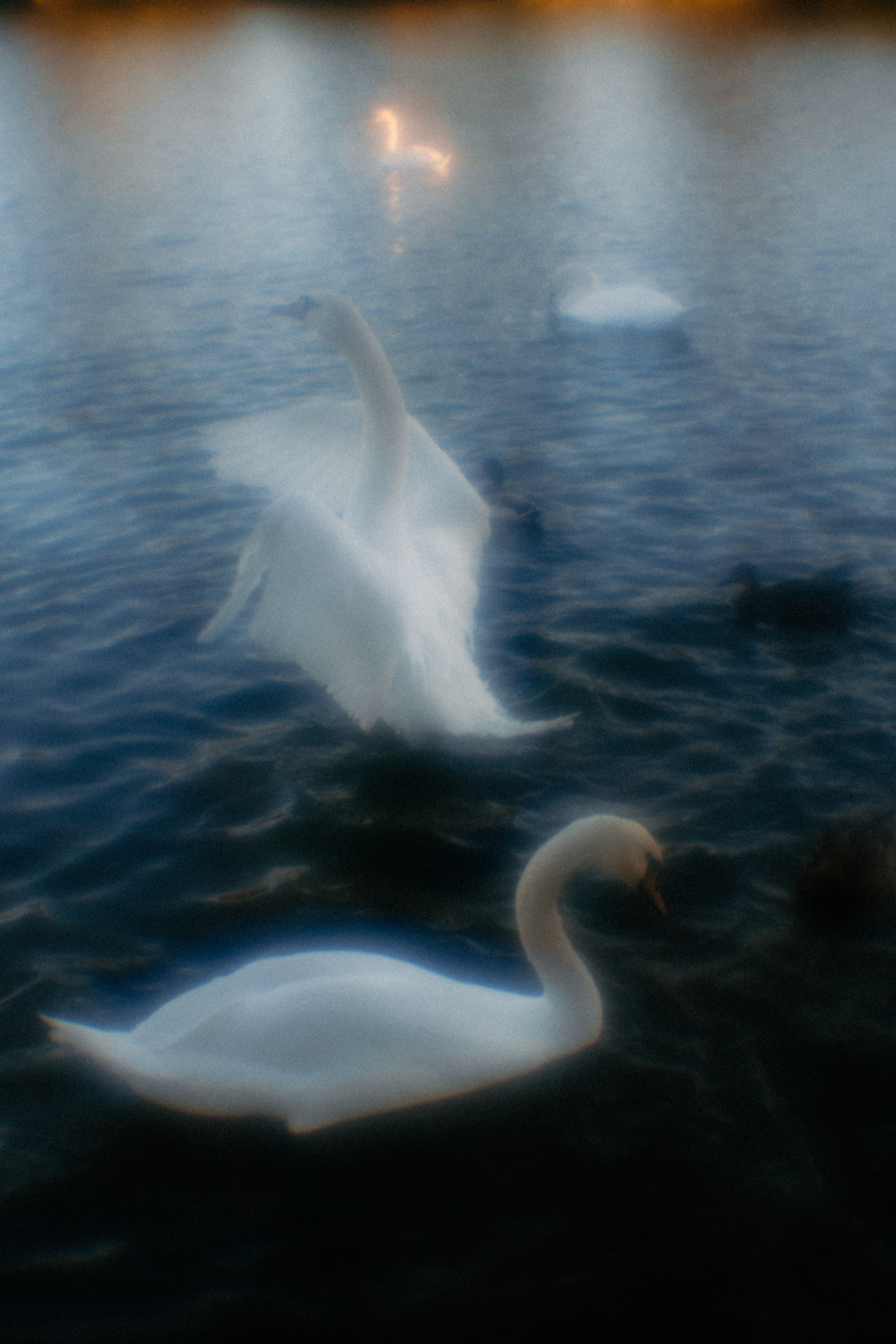 Пикториальный альбом. Семейный LIFESTYLE фотограф в Москве