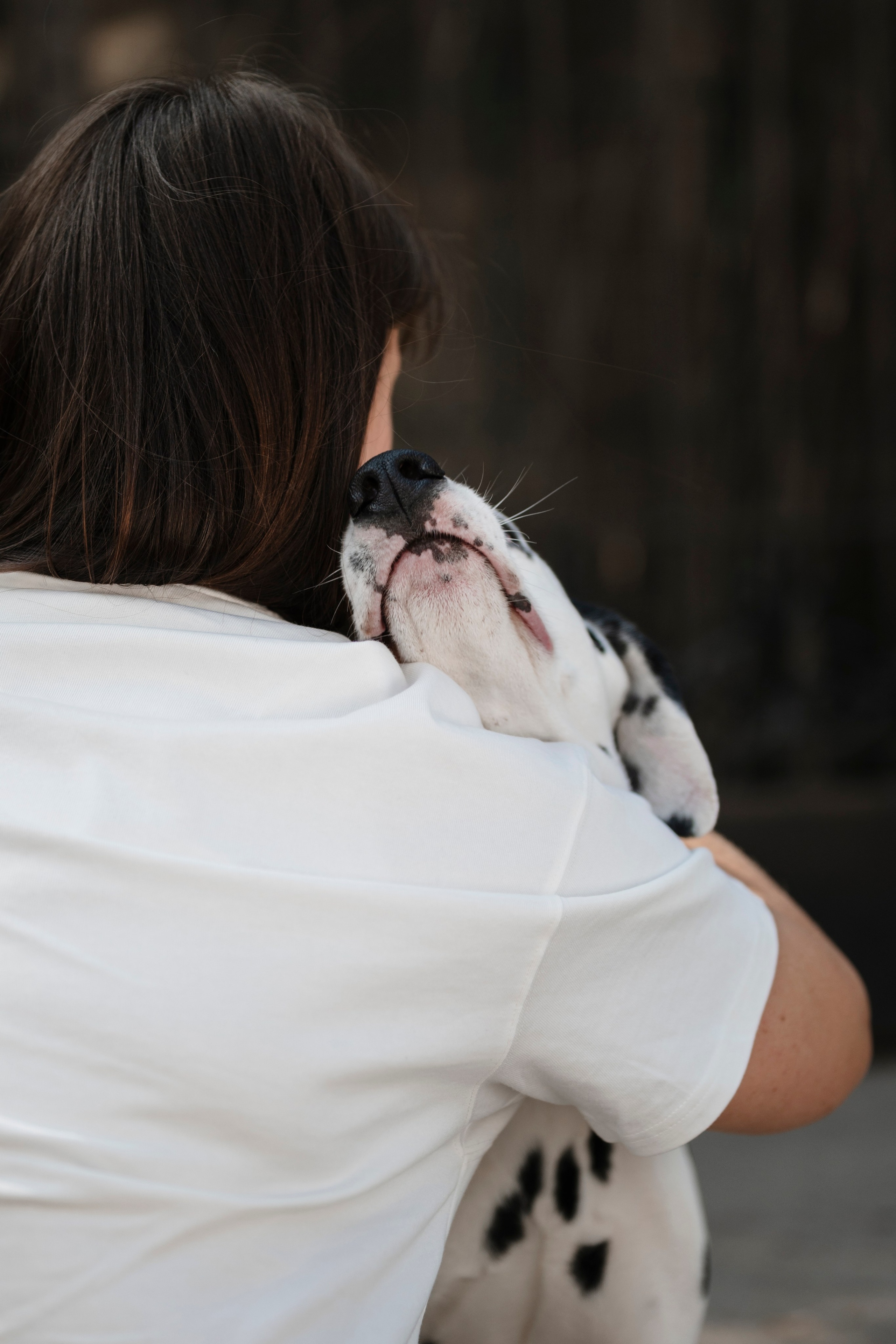 DOGIGO на прогулке. Фотограф анималист в Санкт-Петербурге Таша Крейв