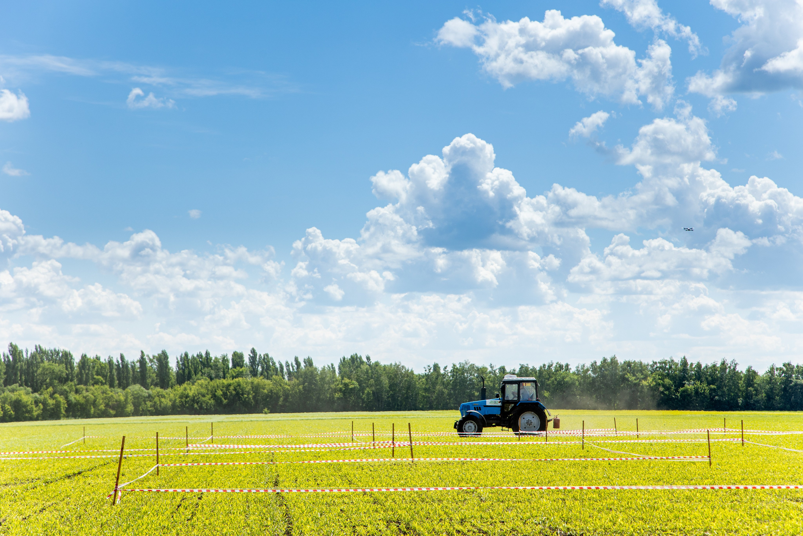 День Поля 2022. Владислав Волков | Фотография и видеосъемка в Воронеже