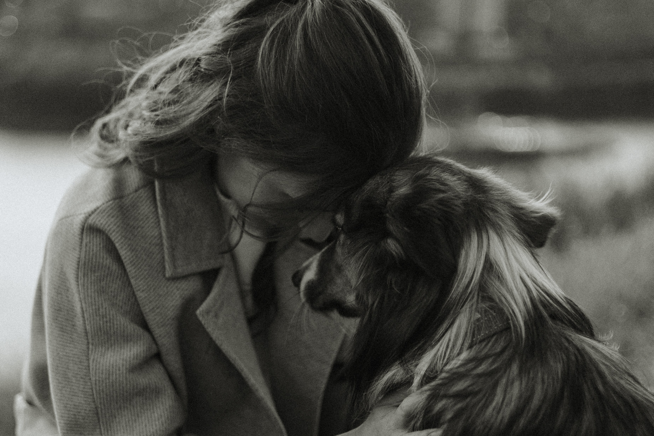 Осенняя съемка Аллы и ее спутника Джея (пакет «Чуть-чуть»). Фотограф Анималист Екатерина Справцева в Нижнем Новгороде