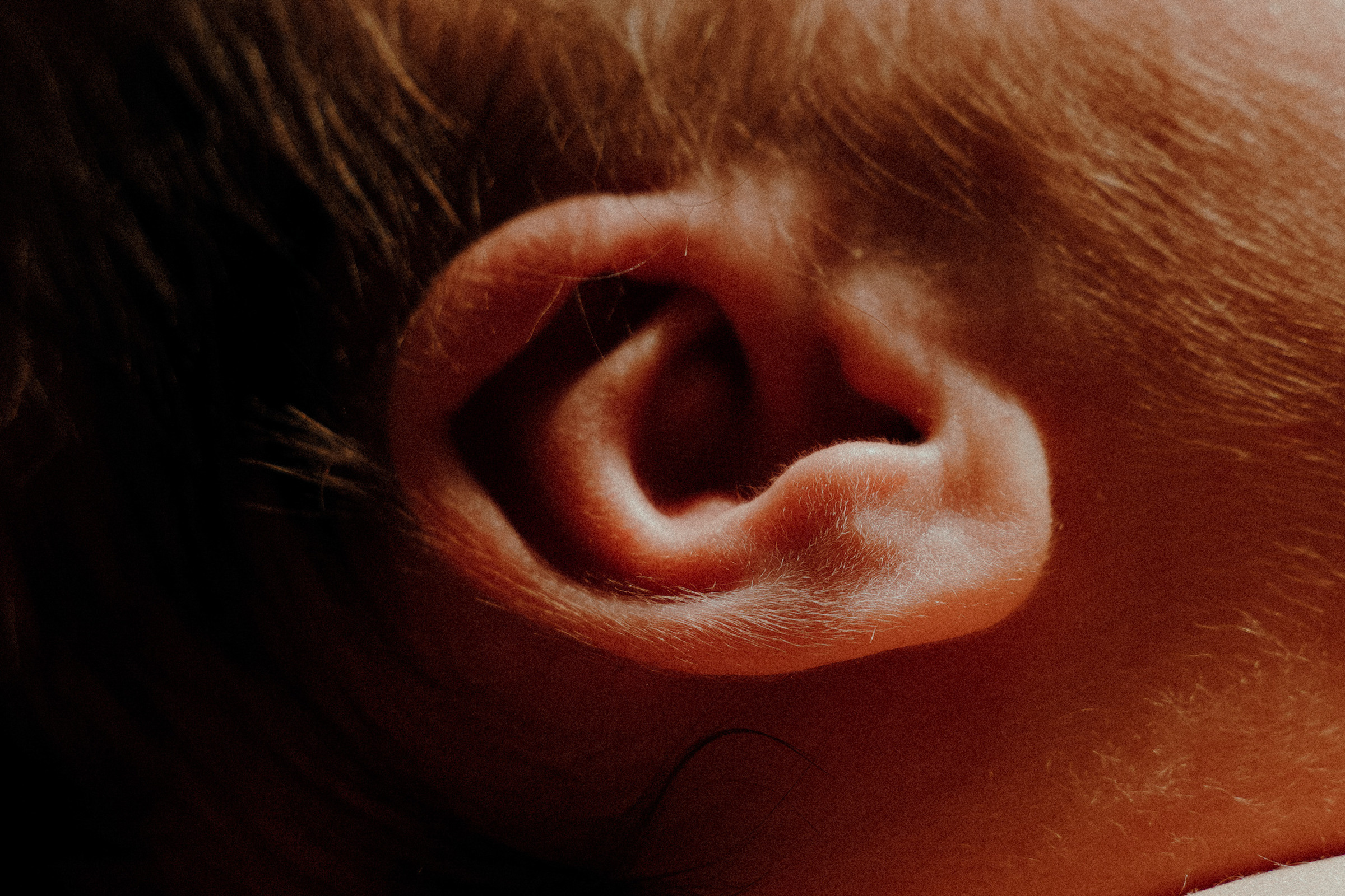 Младенчество. Фотограф в Ростове-на-Дону и Краснодаре Роман Кудрявцев