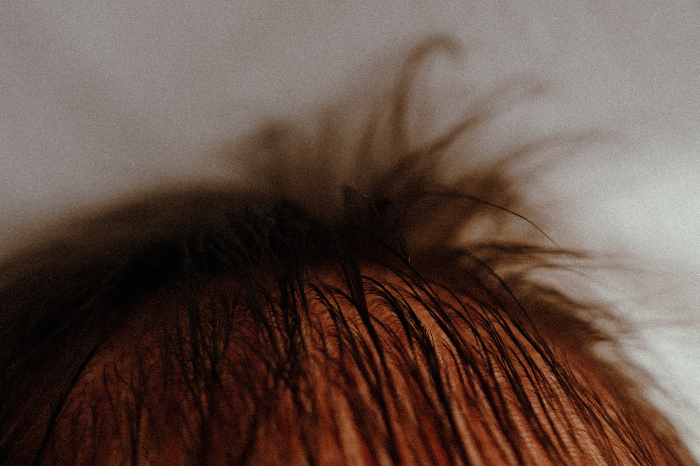 Младенчество. Фотограф в Ростове-на-Дону и Краснодаре Роман Кудрявцев