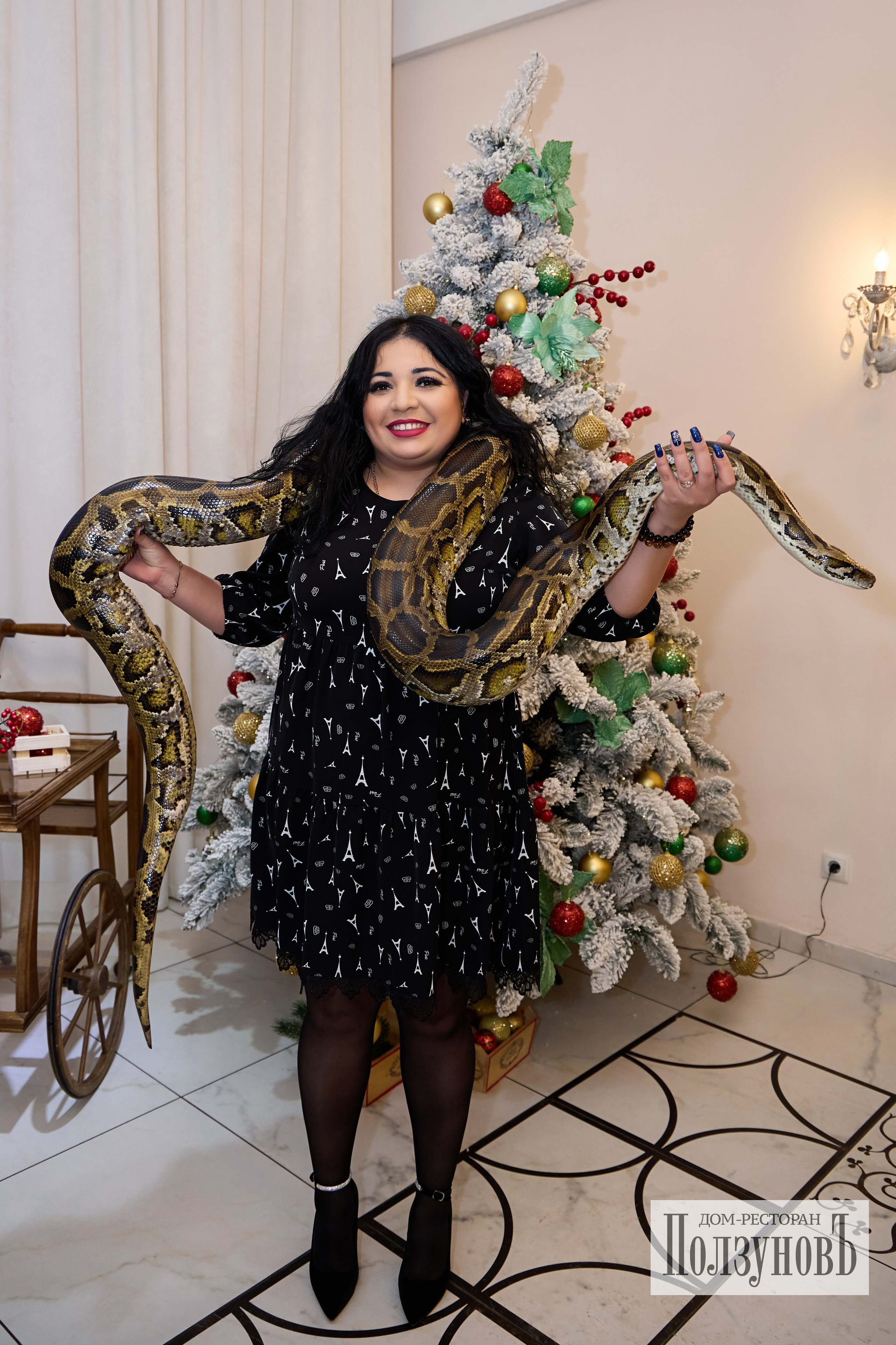 Новый Год Ползунов. Фотограф Барнаул Фатыхов Тимур