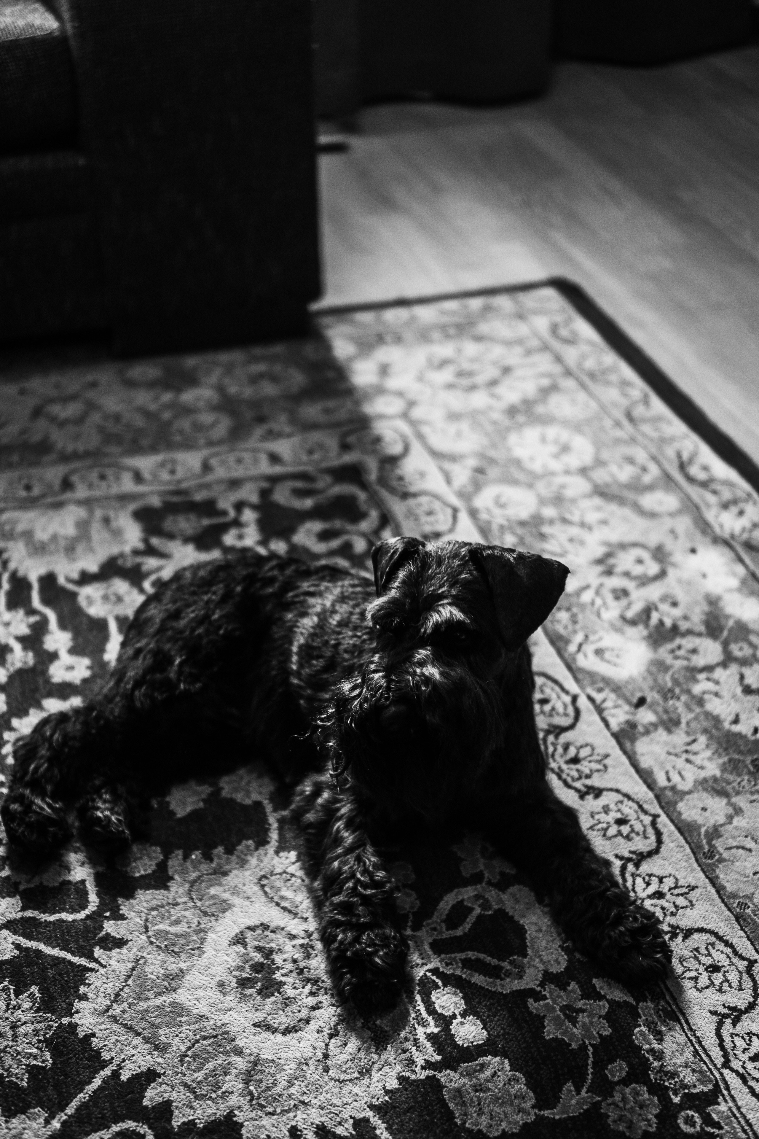 ДЕНЬ РОЖДЕНИЯ. Профессиональный фотограф, Санкт-Петербург — Виктория Богомолова