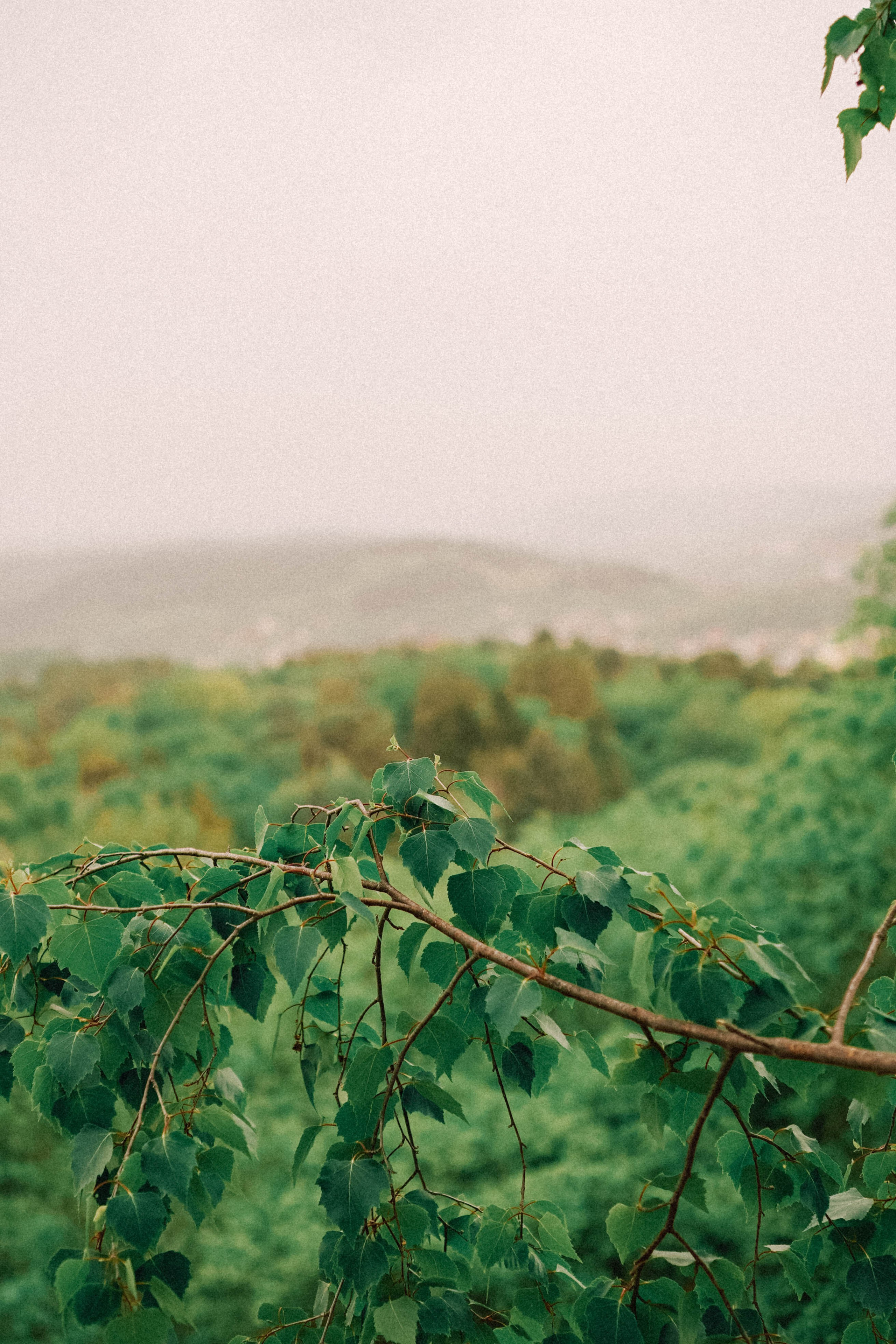 КИСЛОВОДСК. Профессиональный фотограф, Санкт-Петербург — Виктория Богомолова