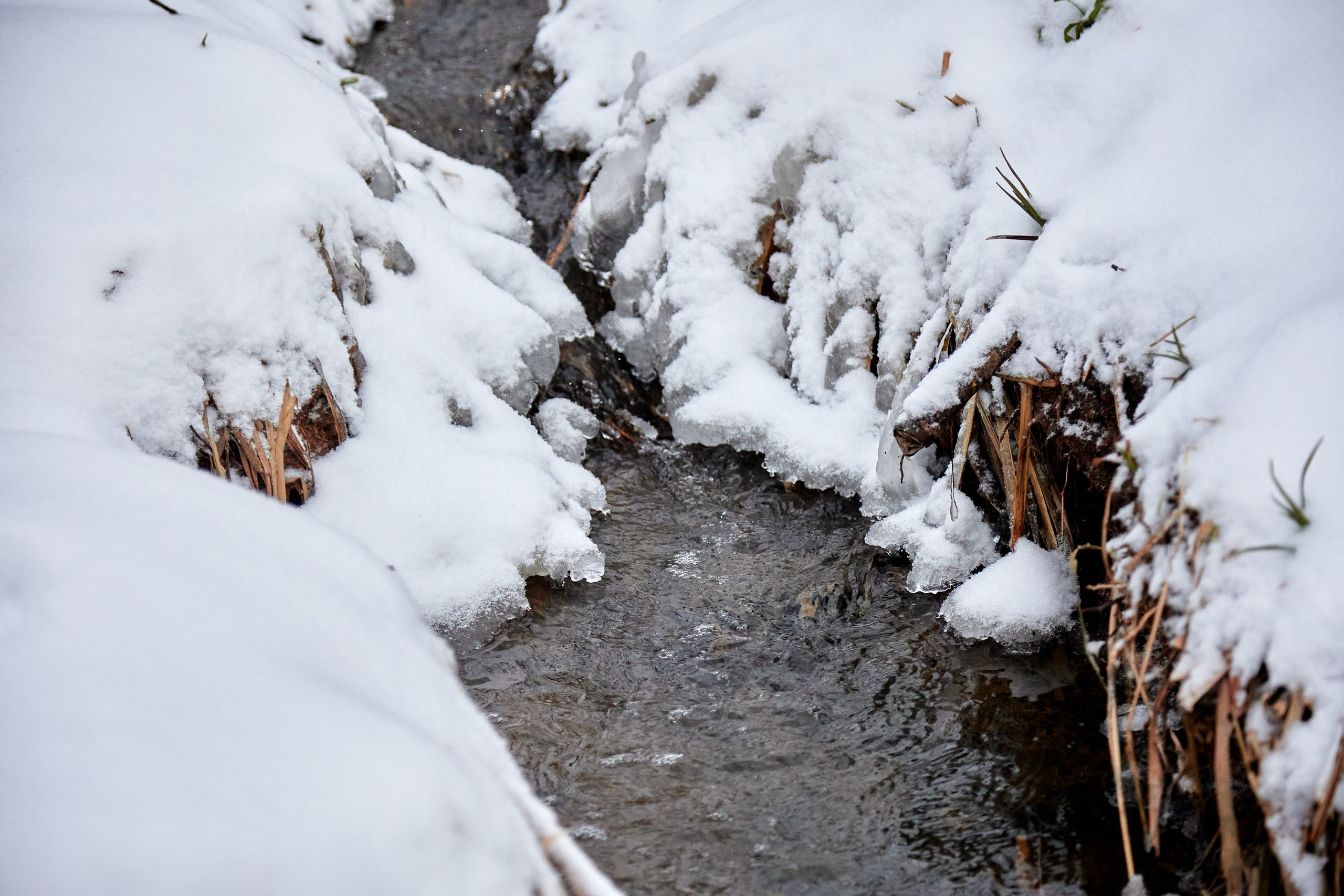 Близко Зима. Спортивный и репортажный фотограф Андрей Баскаков