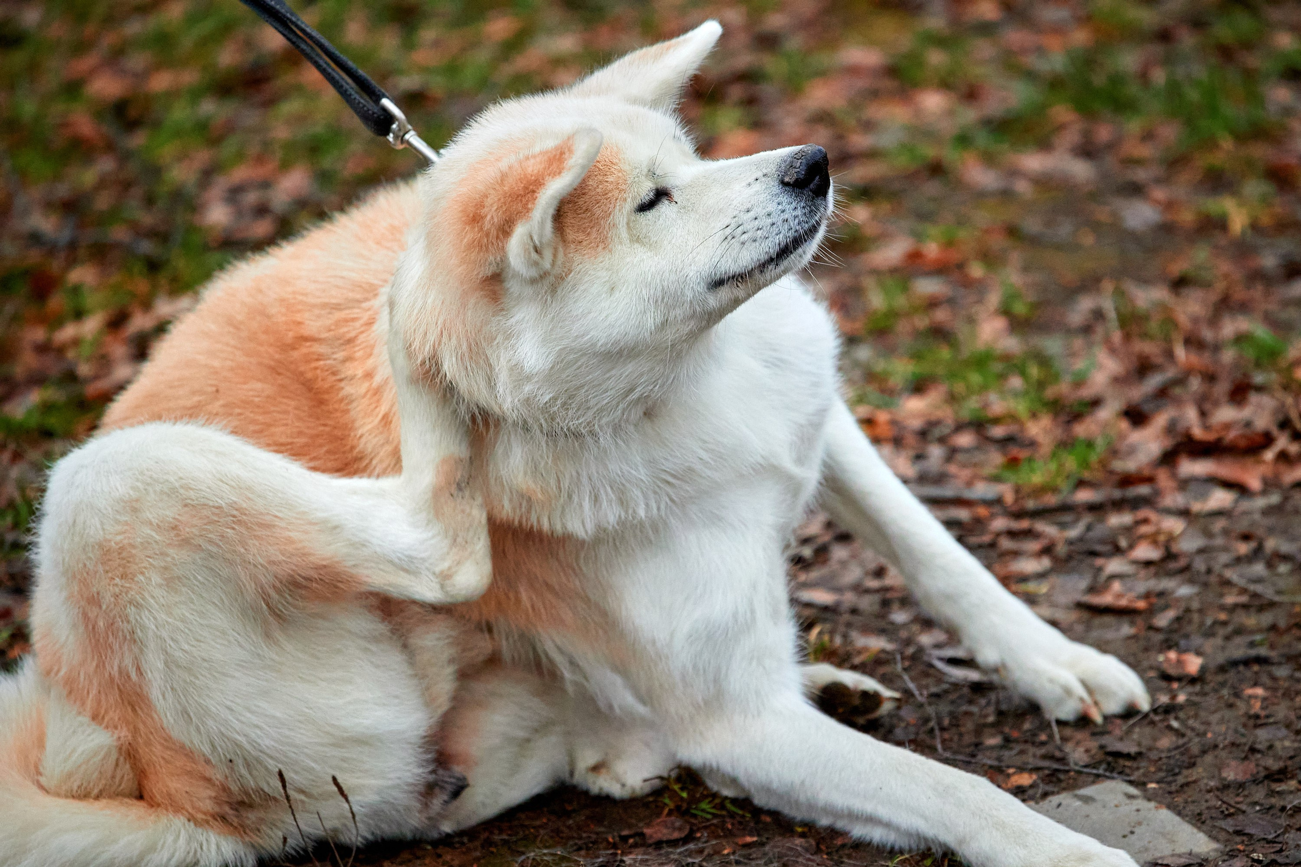 S95 Кусково. Спортивный и репортажный фотограф Андрей Баскаков