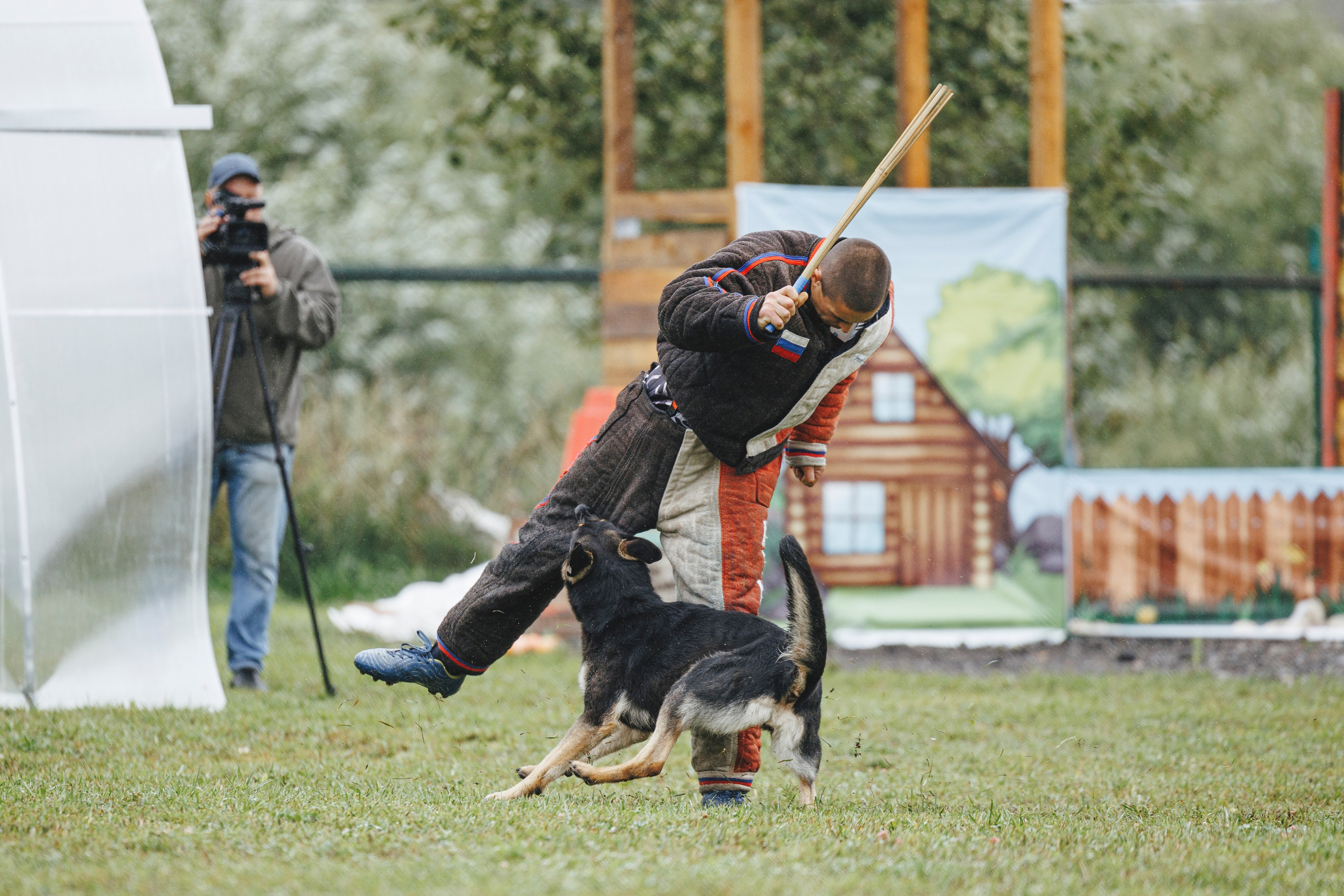 08.08.25-10.08.25 ЧР по мондьорингу г. Вологда. Фотограф-анималист Анна Маринич
