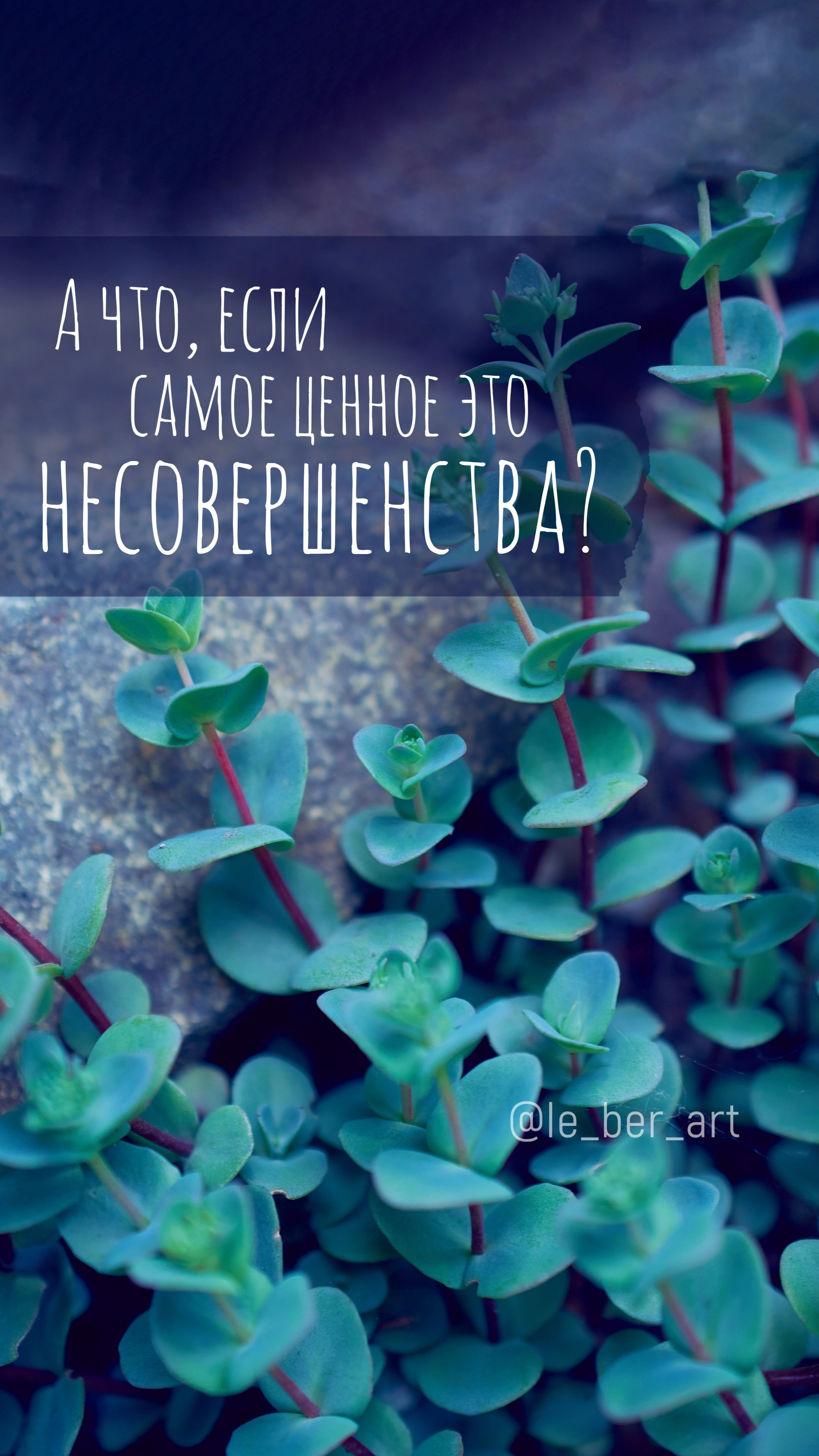 Заставки на телефон. Елена Берсенева, фотограф