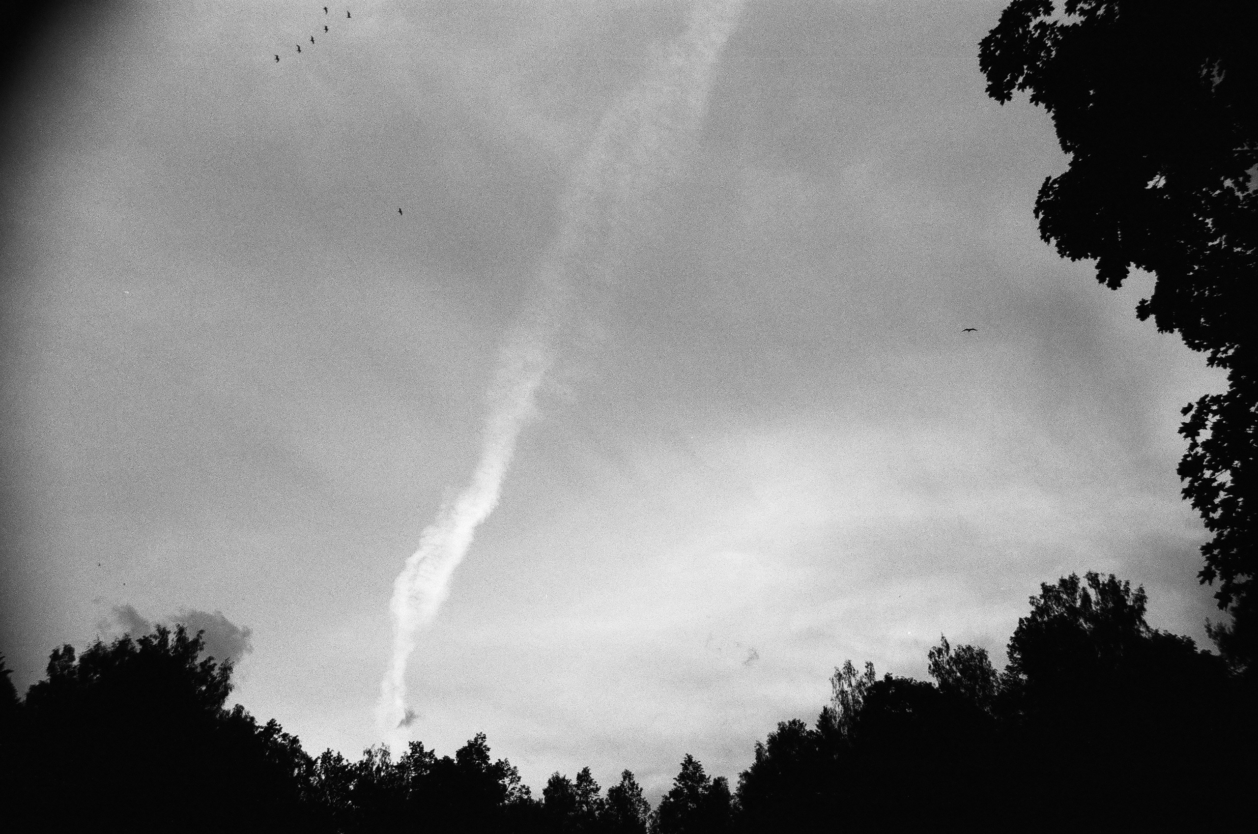 Film. Ruslan UI Dev Page