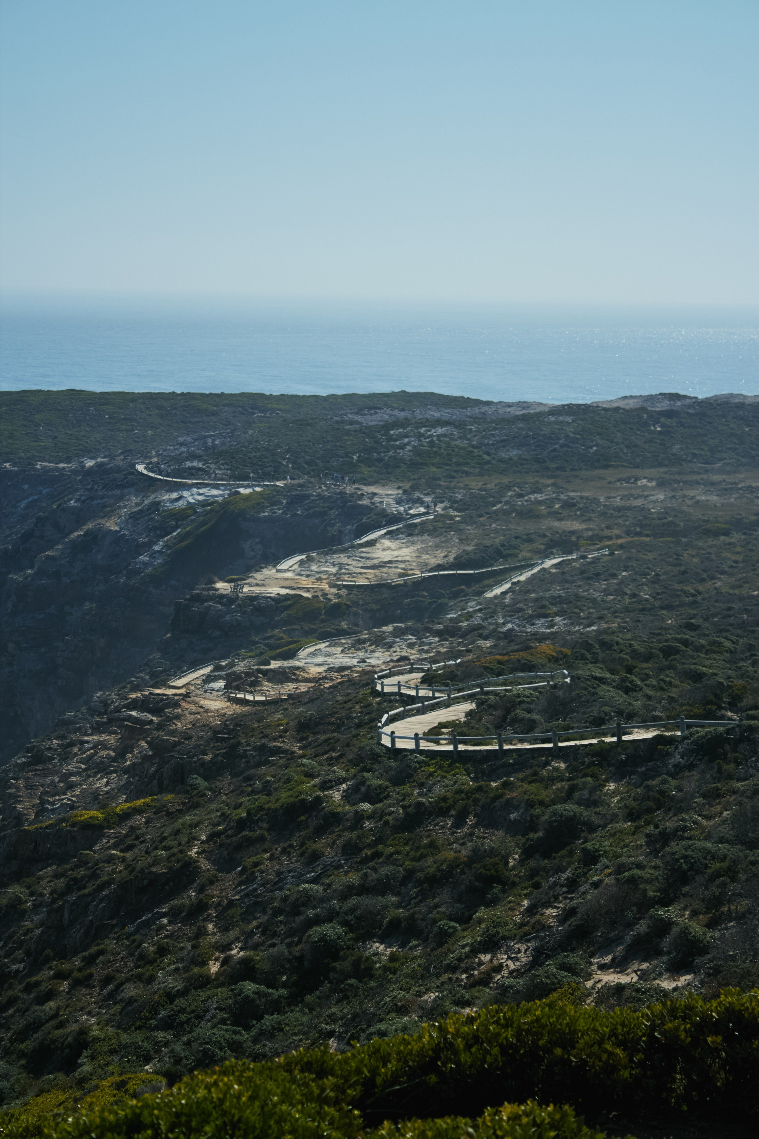 ЮАР. Профессиональный Фотограф во Владимире, в Москве и в Суздале — Полина Романычева