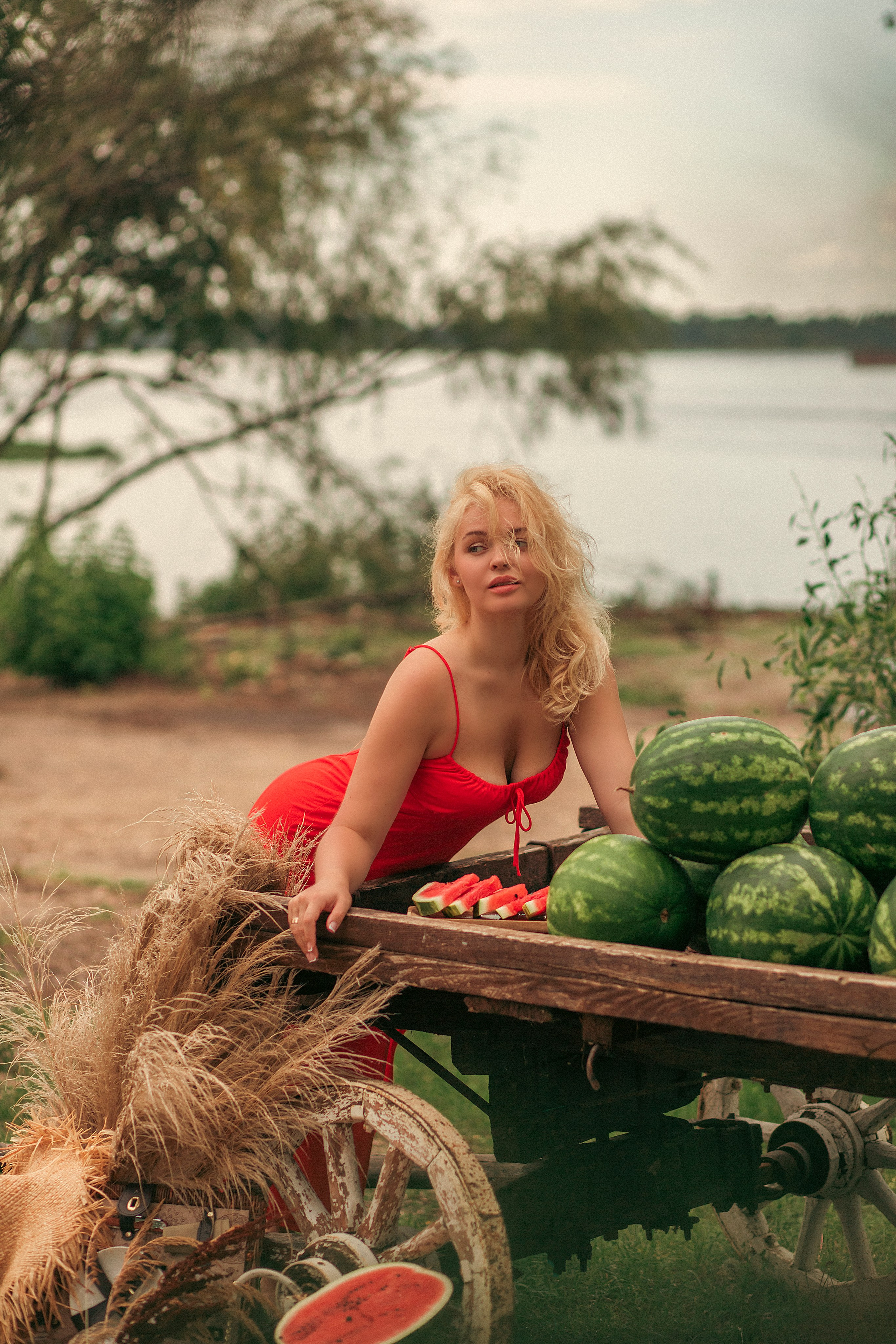 Телега с арбузами. Фотограф Ольга Бобб Нижний Новгород