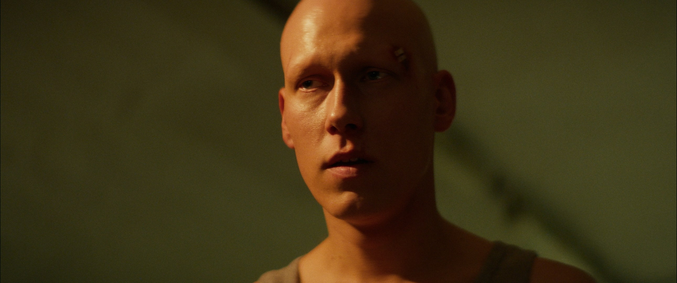 Мяу! (short film). Цветокоррекция видео онлайн Иван Сержанов