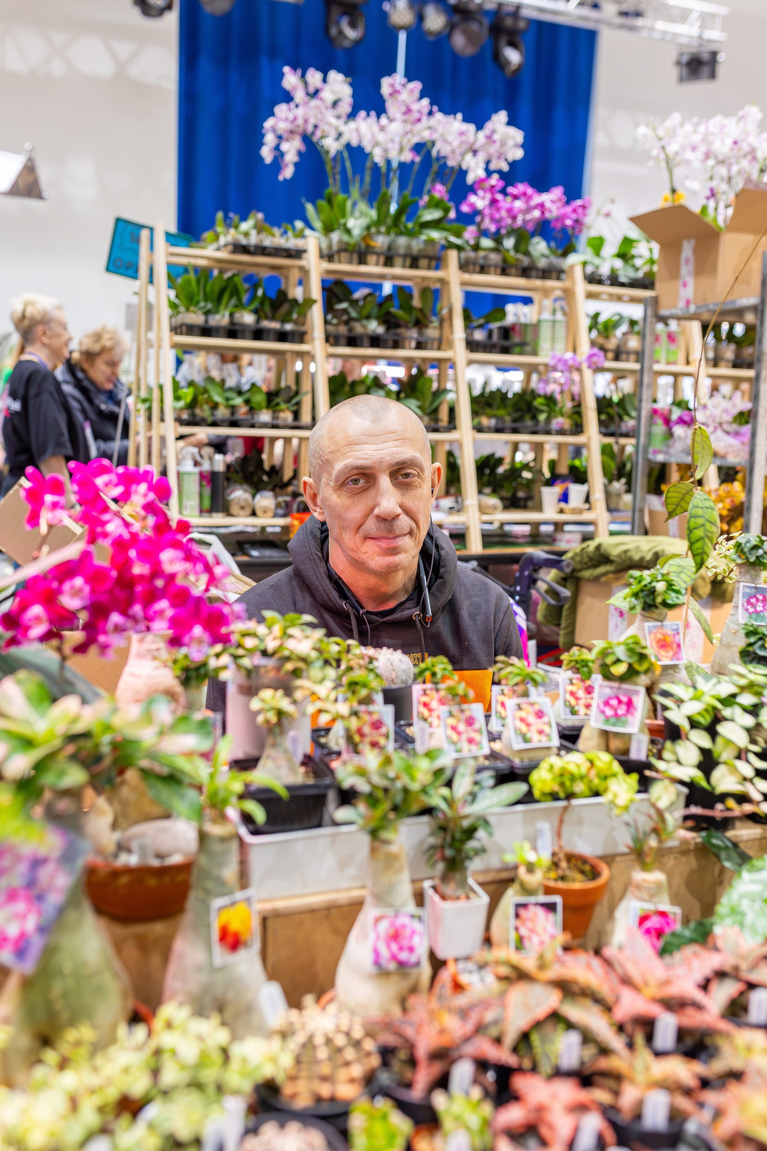 Орхидиум 12.2025. Александра Куликова фотограф, Москва