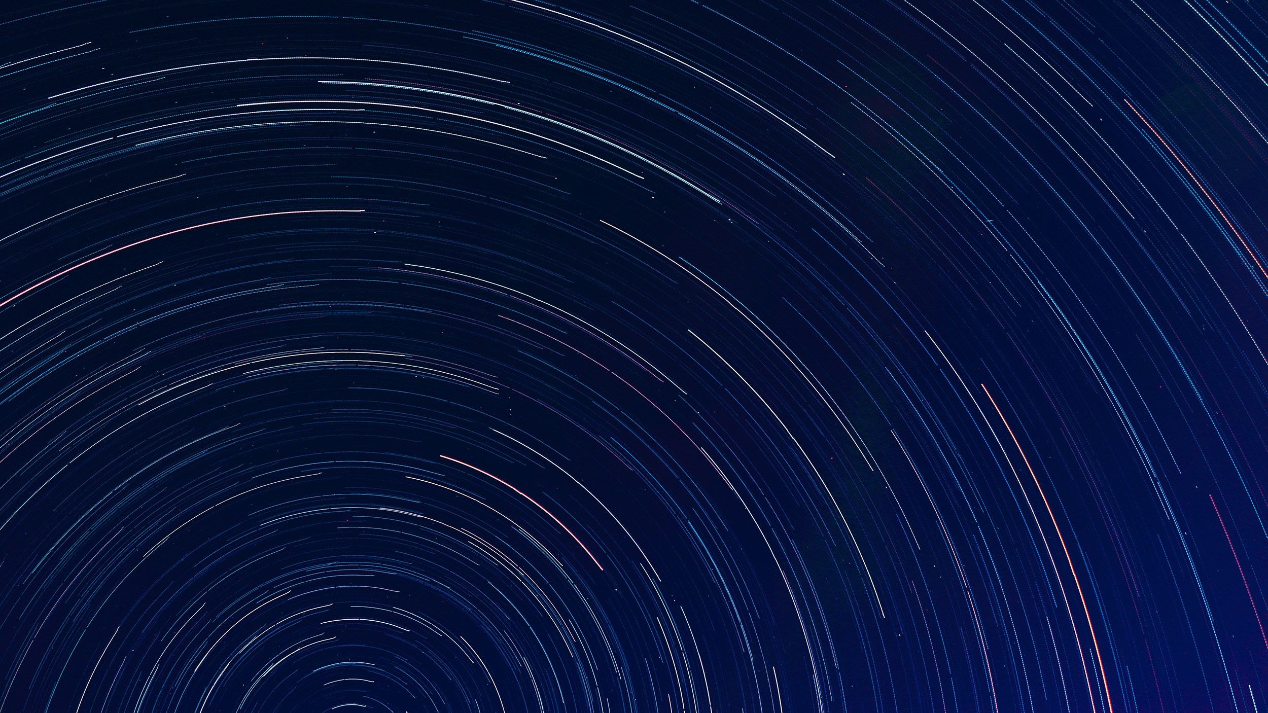 Попкова Виктория фотограф