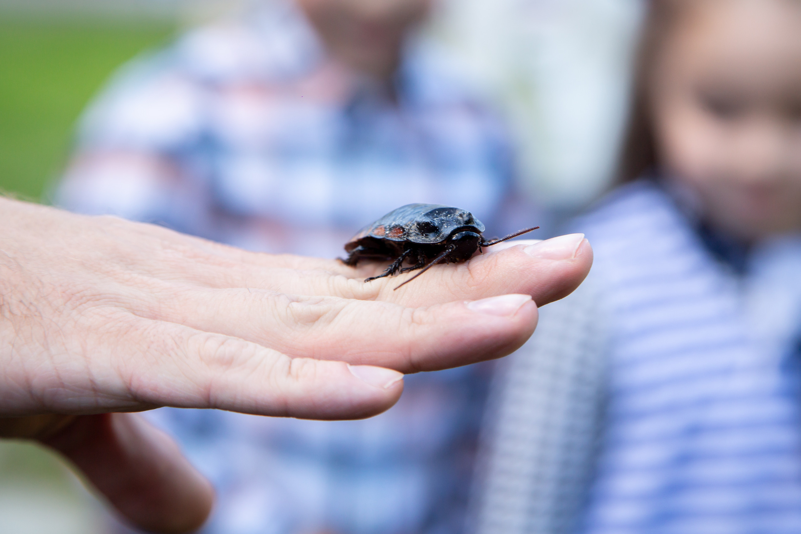 Детские праздники. Фотограф Алёна Финашова