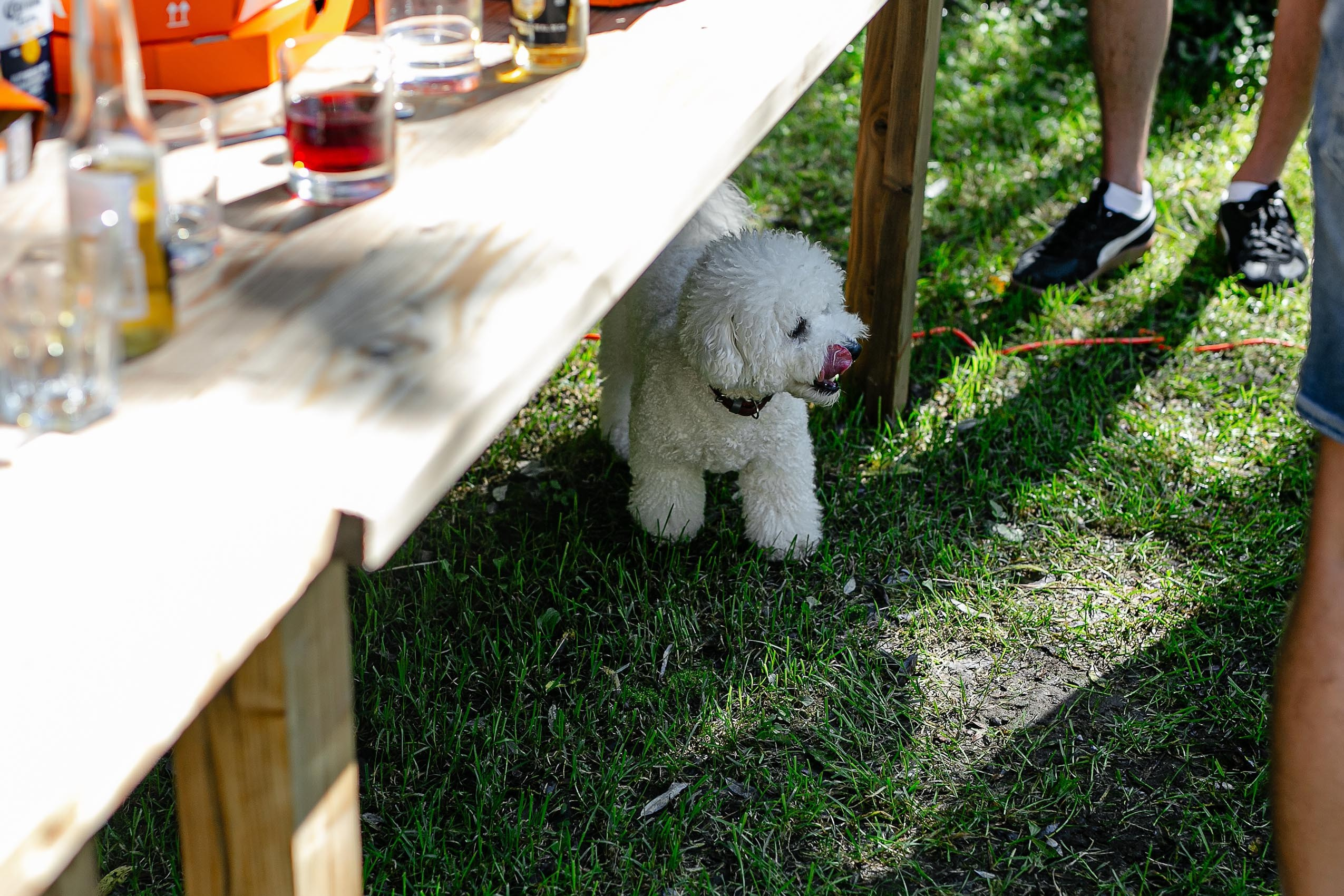 Детский день рождения г Владивосток. Владивосток семейный фотограф Александр Степанов