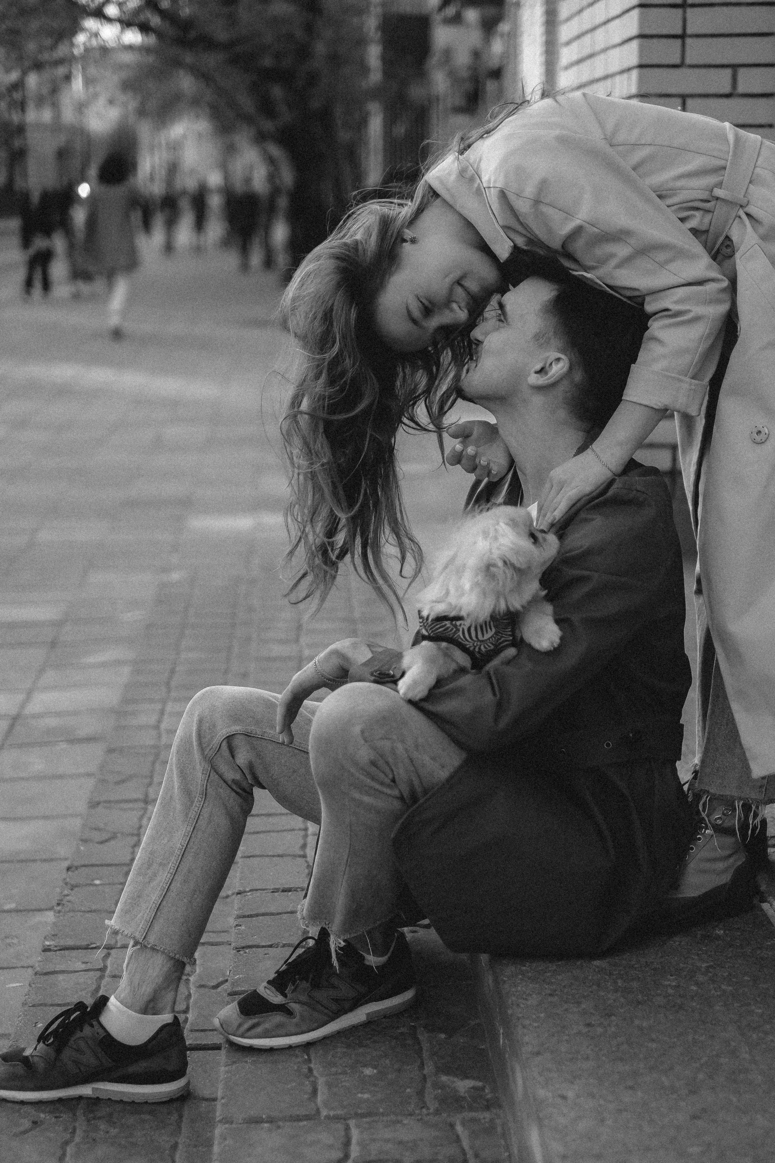 Пекинес. Свадебный и портретный фотограф в Москве, Туле и Брянске Дара Евсеева