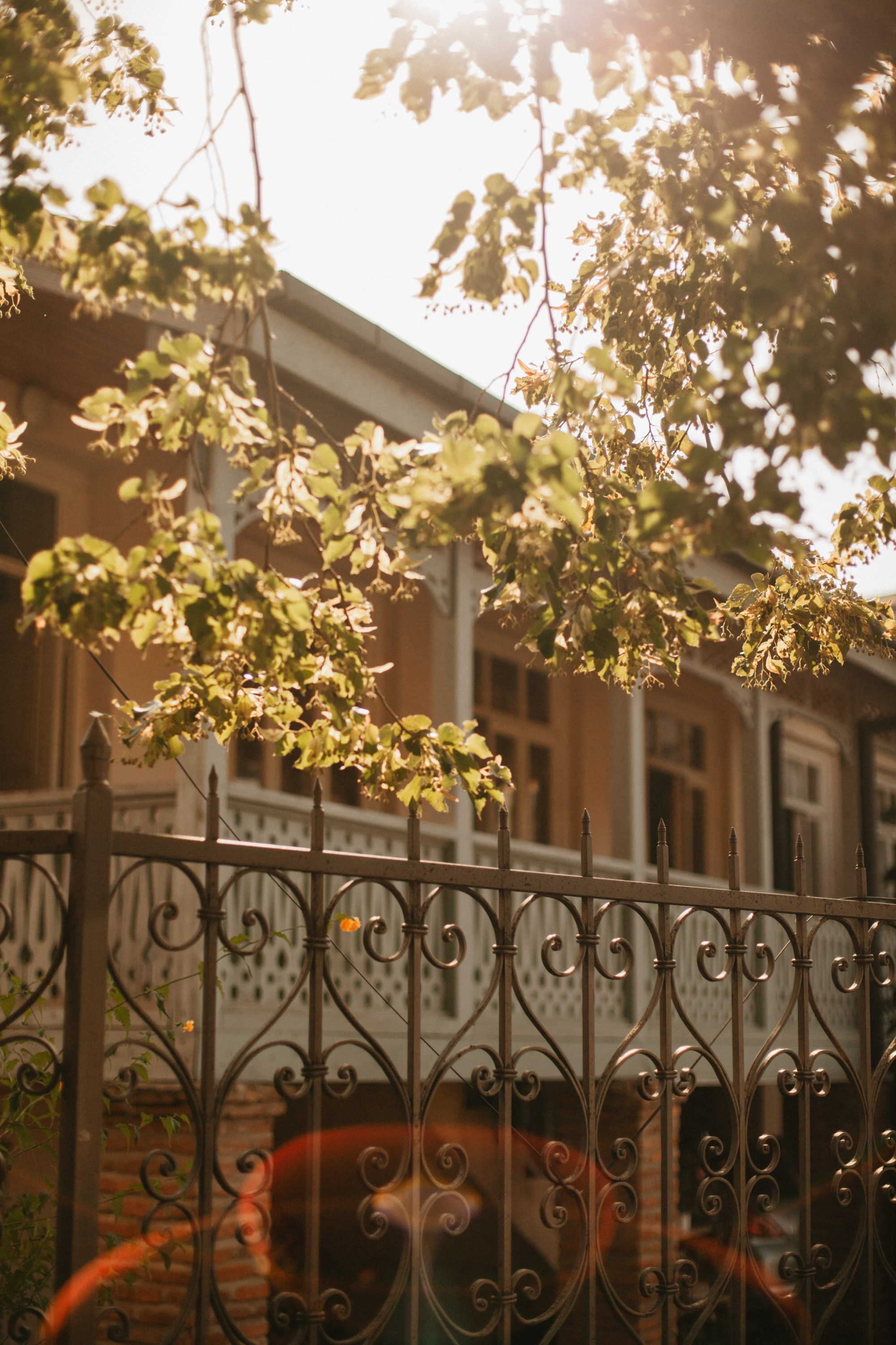 Грузинские каникулы. Violetta Skripka