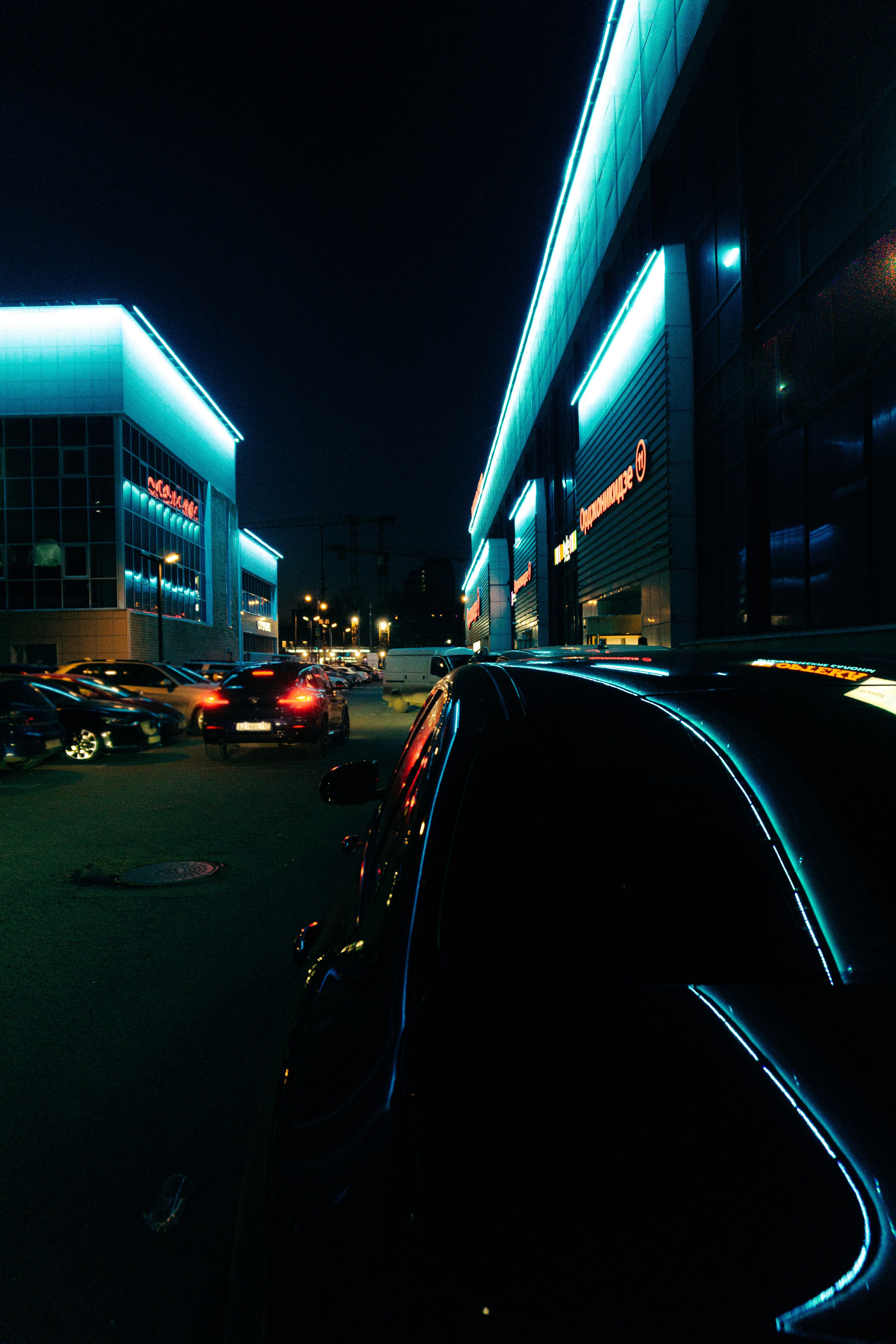 ТЦ Гагаринский. Алексей Никифоров свадебный и семейный фотограф Москва, Химки