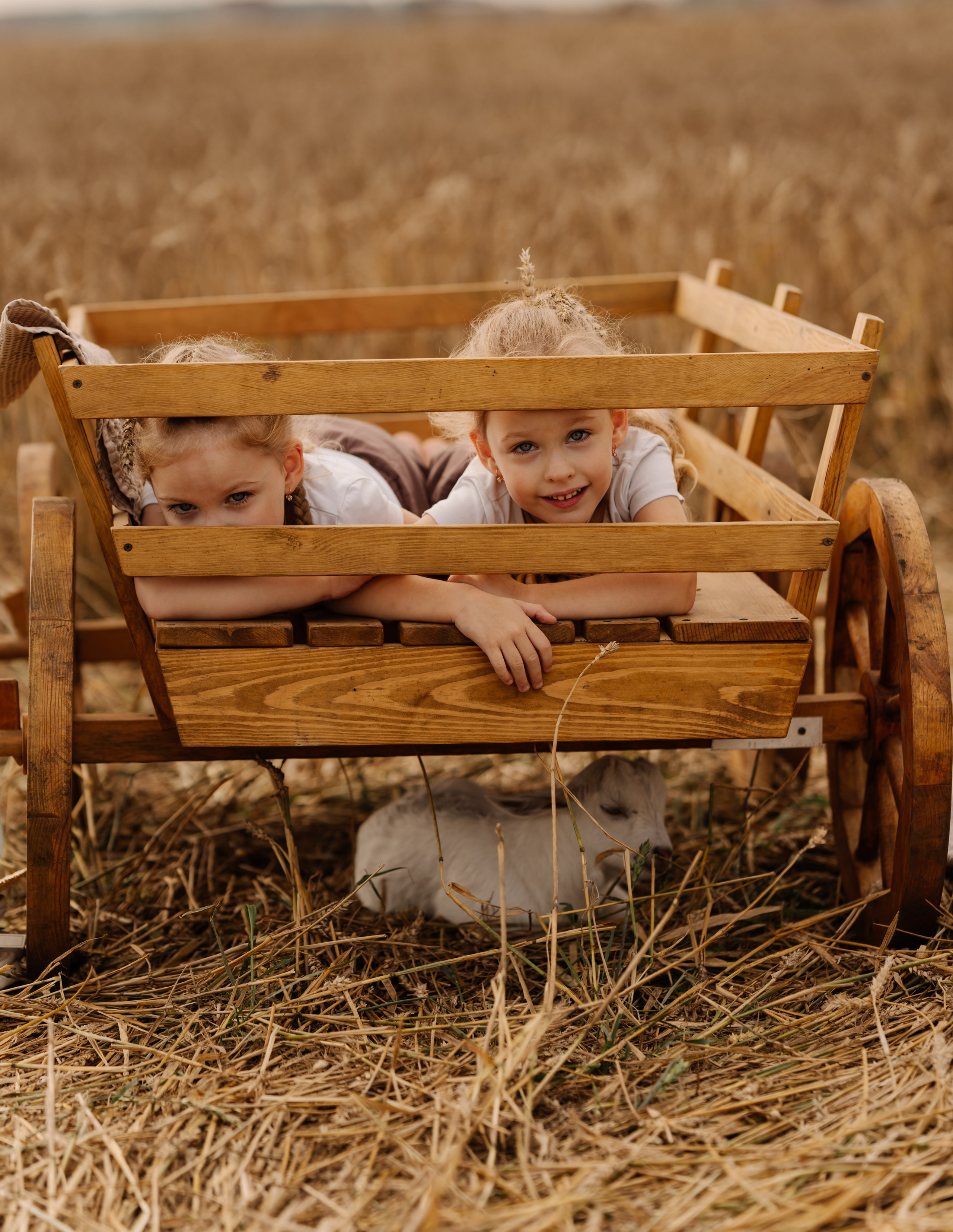 Девочки с козленком. СВАДЕБНЫЙ ФОТОГРАФ КРАСНОЯРСК