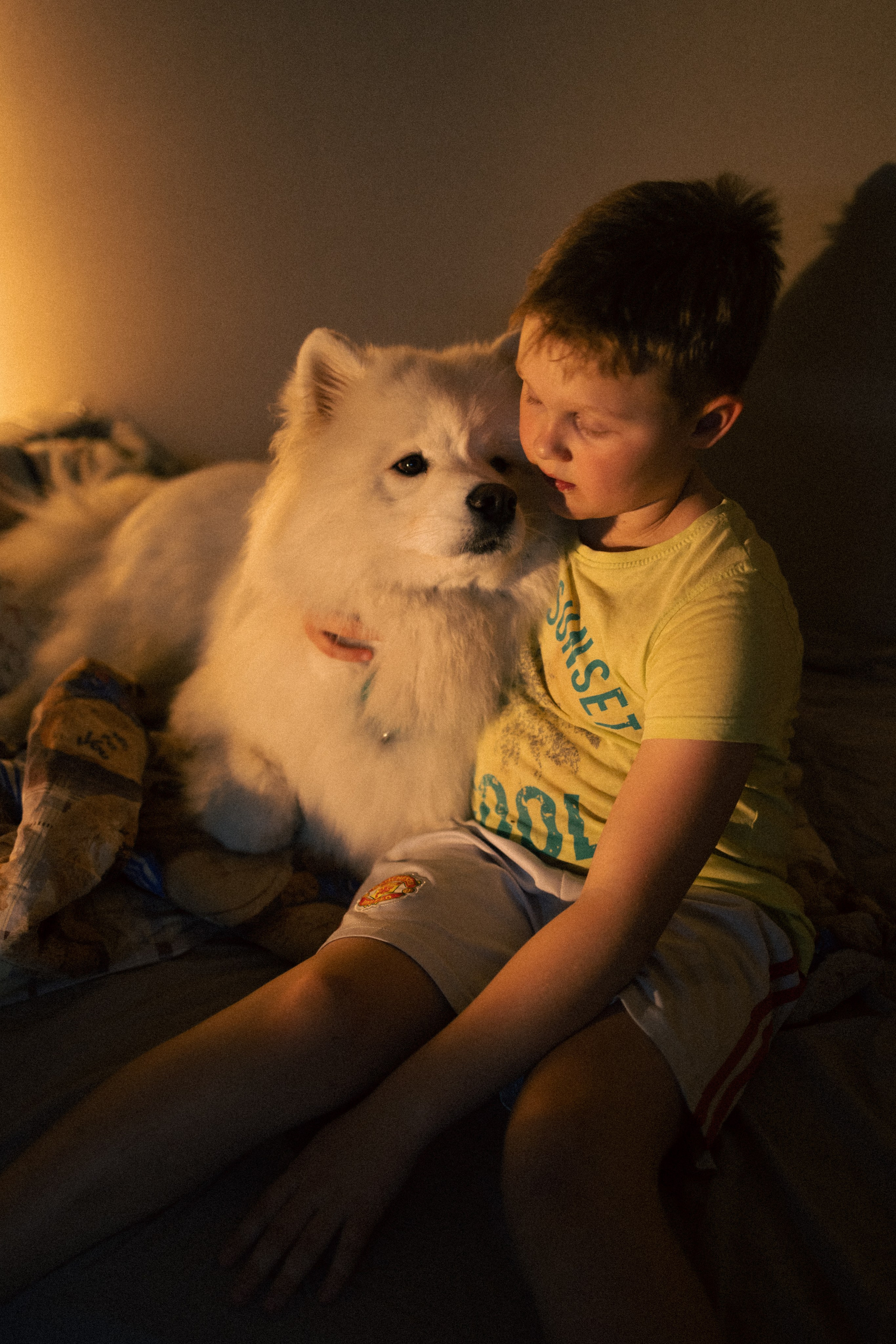 Мальчишки. Фотограф анималист в Москве Майорова Евгения