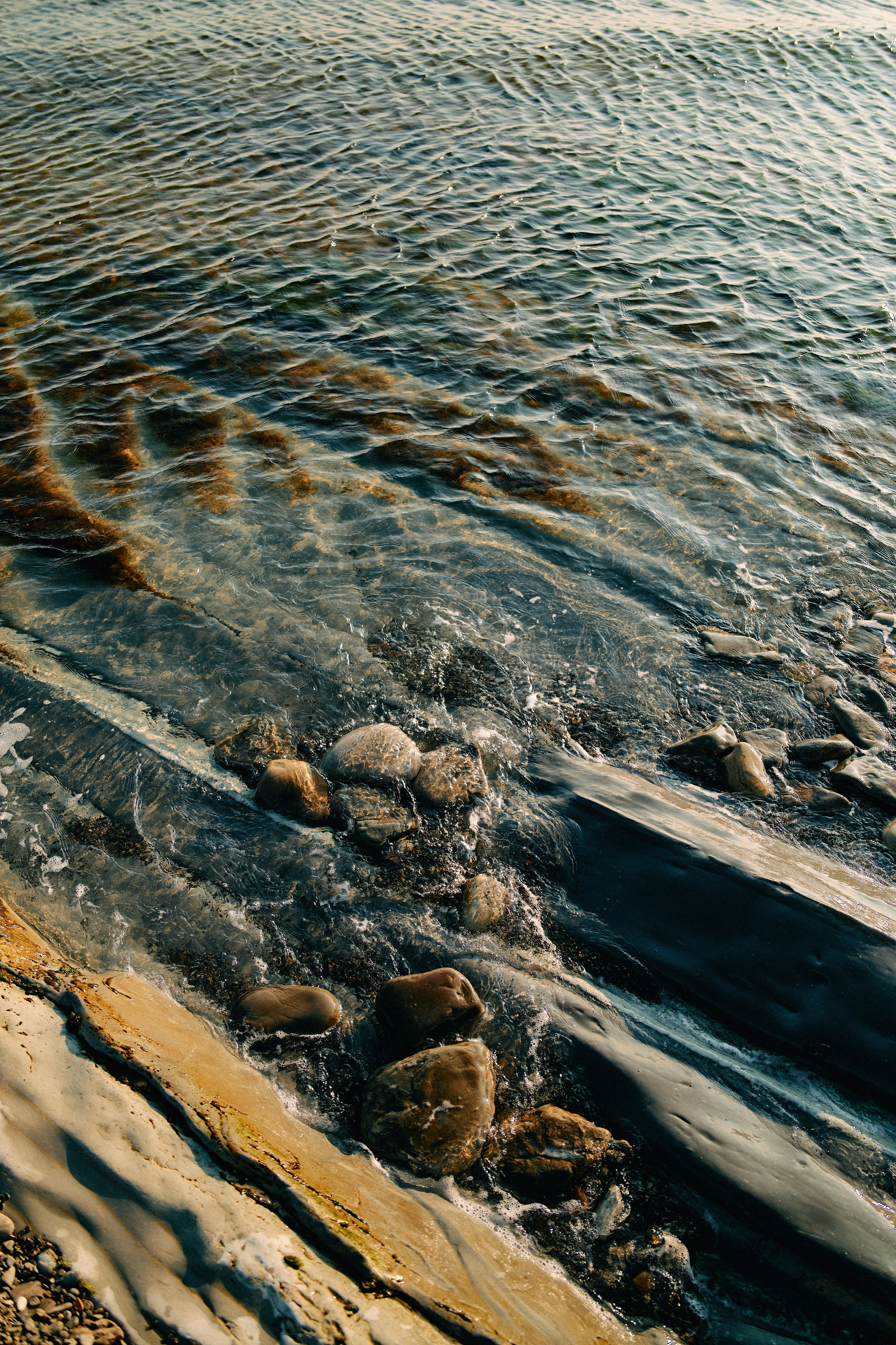 Юг России. Профессиональный Фотограф во Владимире, в Москве и в Суздале — Полина Романычева