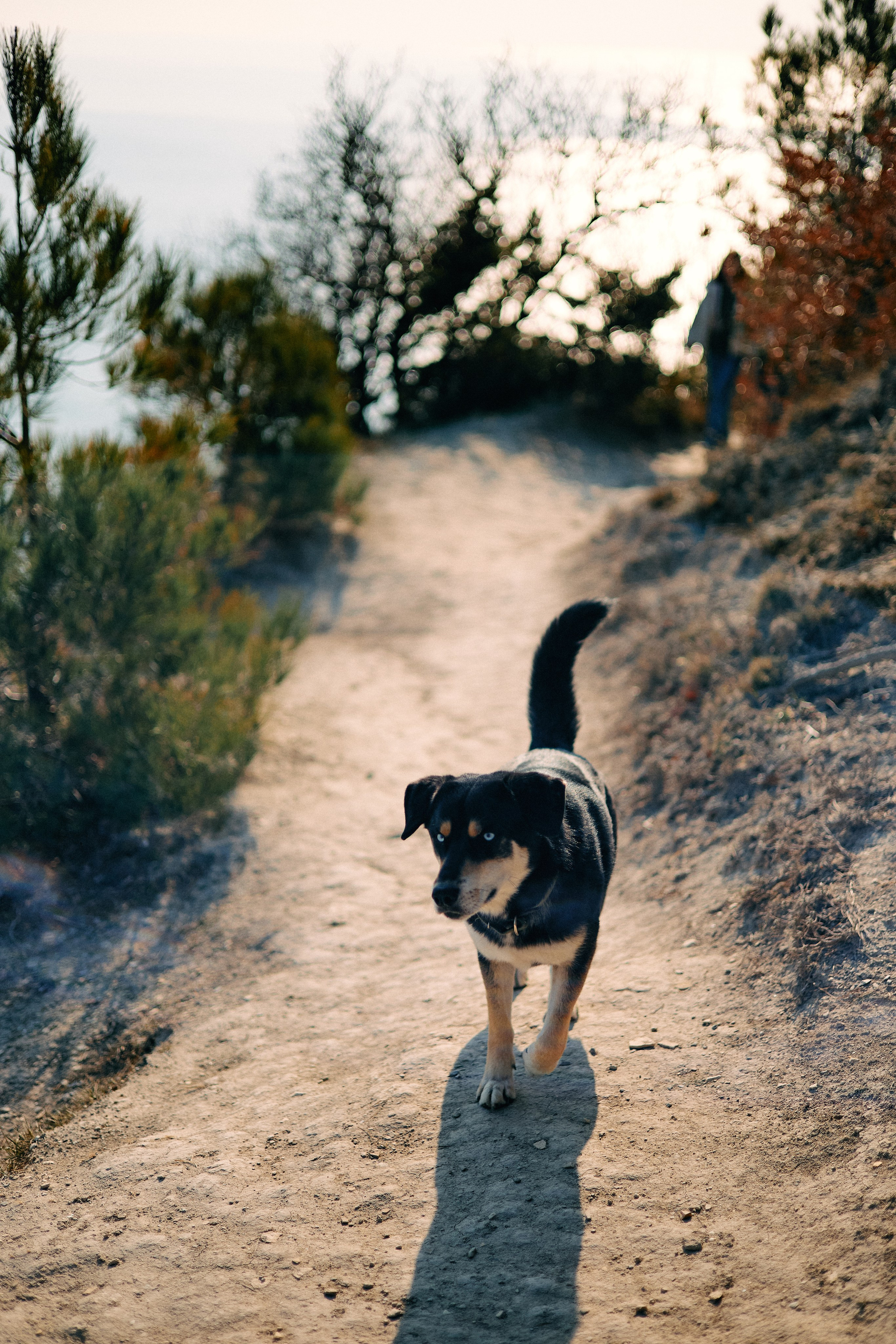 Юг России. Профессиональный Фотограф во Владимире, в Москве и в Суздале — Полина Романычева