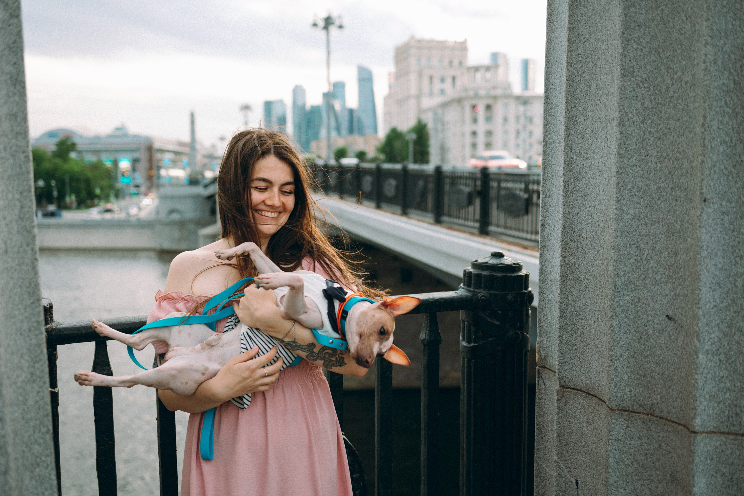 Глаша, Айрон, Ксюша и Оля. Фотограф анималист Анастасия Пикей