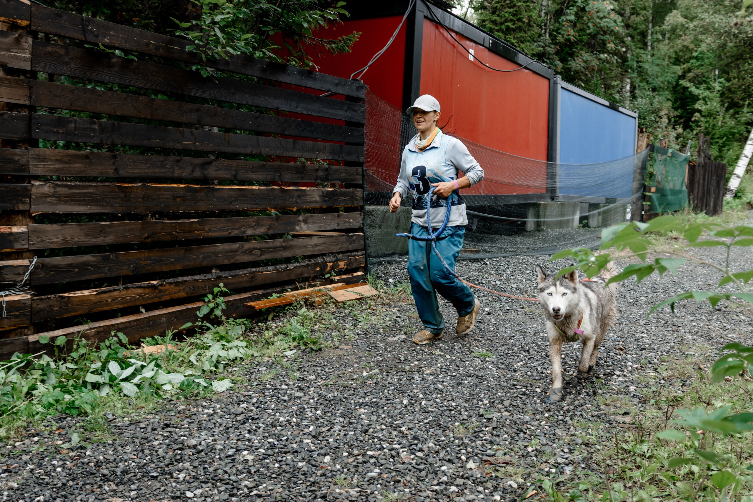 Дог-треккинг