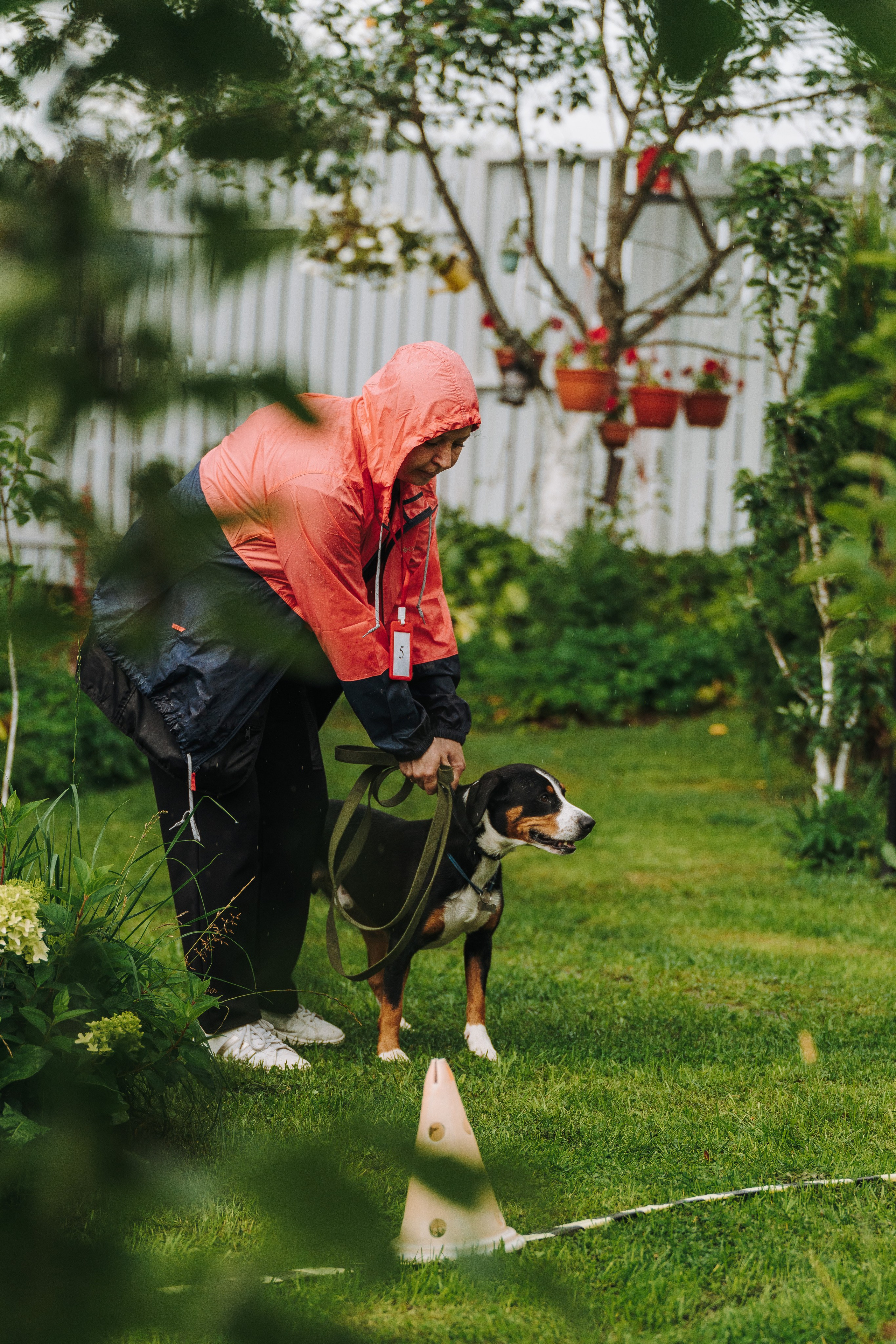 Соревнования по ноузворку в Новожилово. Фотограф анималист в Спб недорого Олеся Майорова