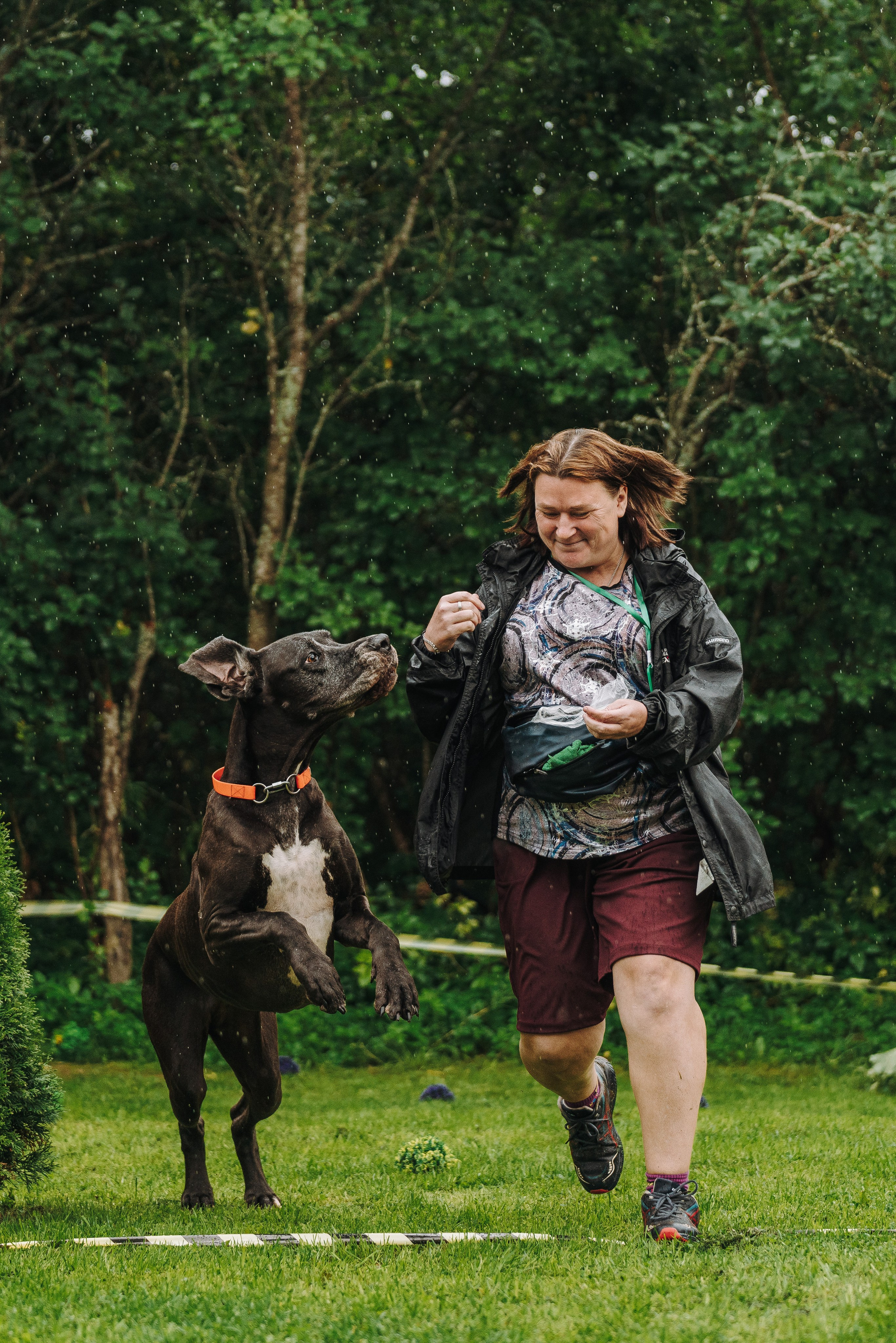 Соревнования по ноузворку в Новожилово. Фотограф анималист в Спб недорого Олеся Майорова
