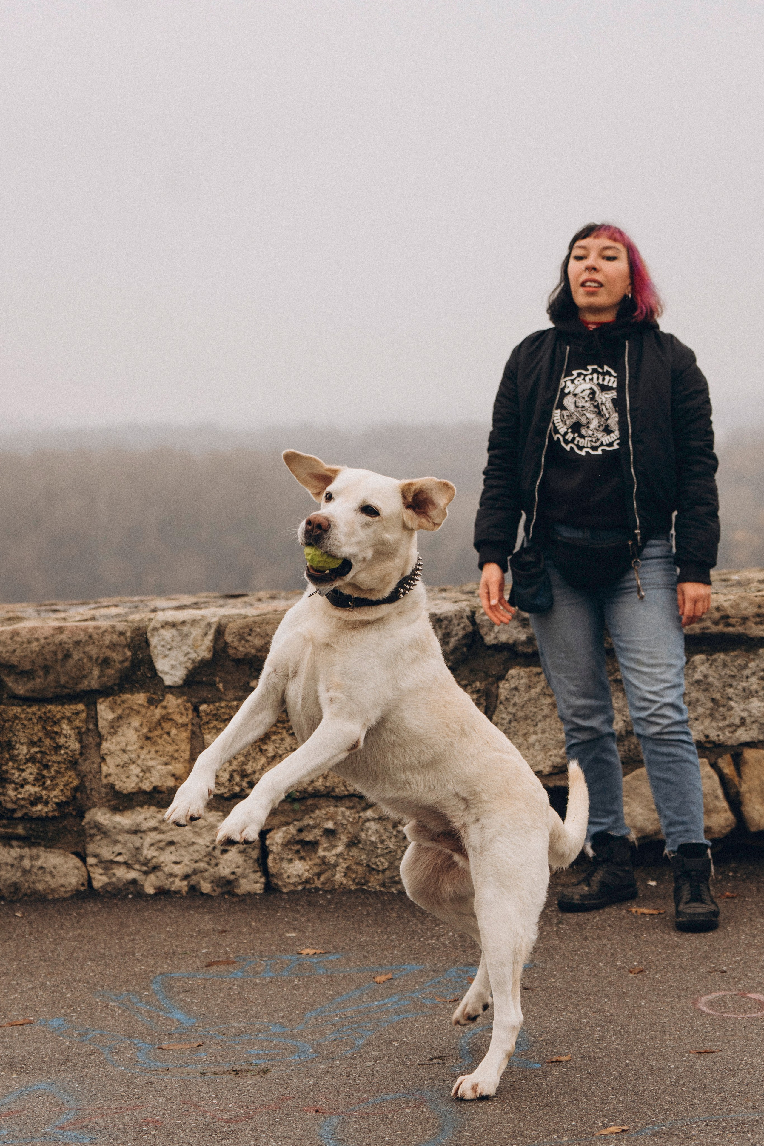 Вати, Лена и Леван. Фотограф анималист в Спб недорого Олеся Майорова