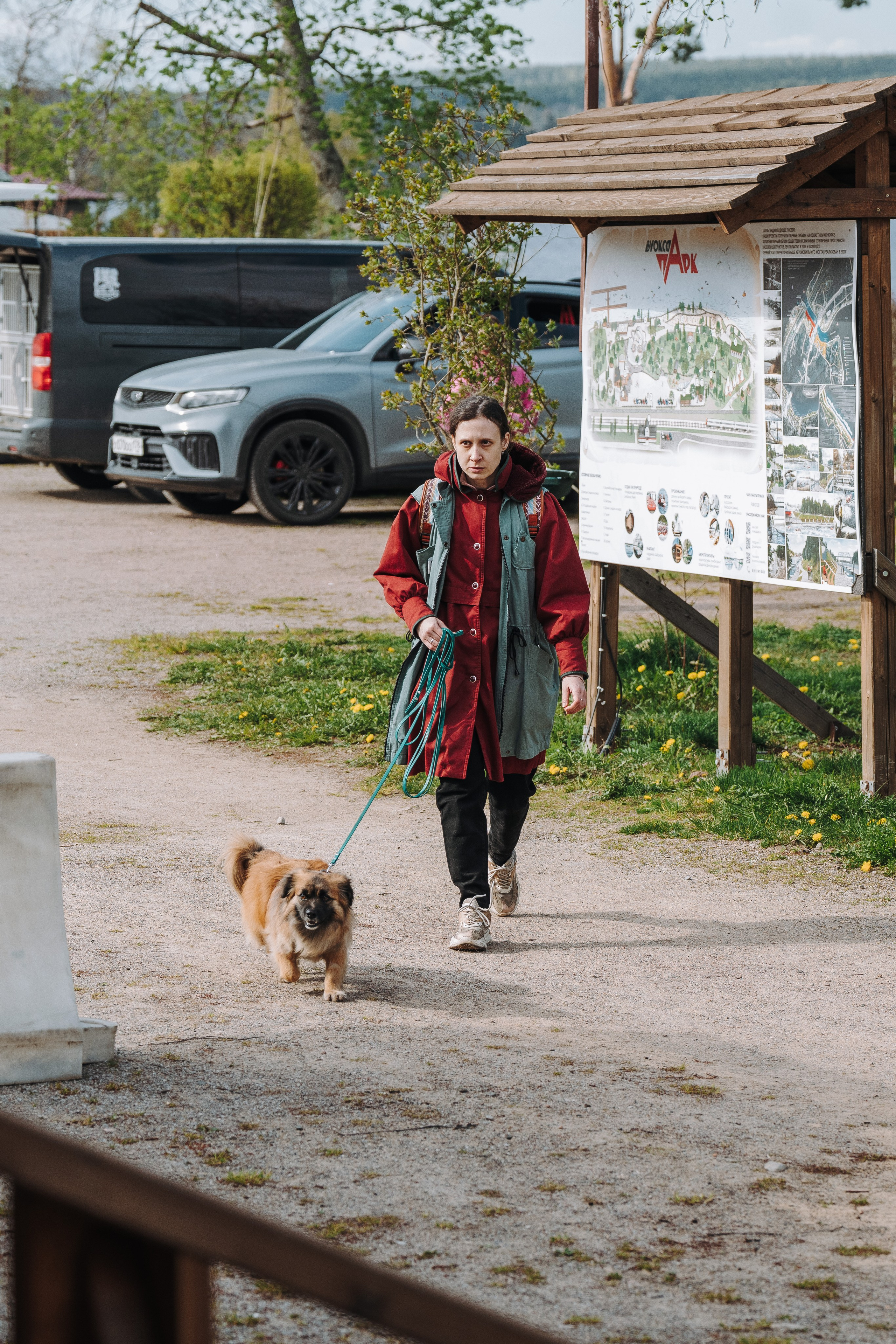 Соревнования по ноузворку в Лосево. Фотограф анималист в Спб недорого Олеся Майорова