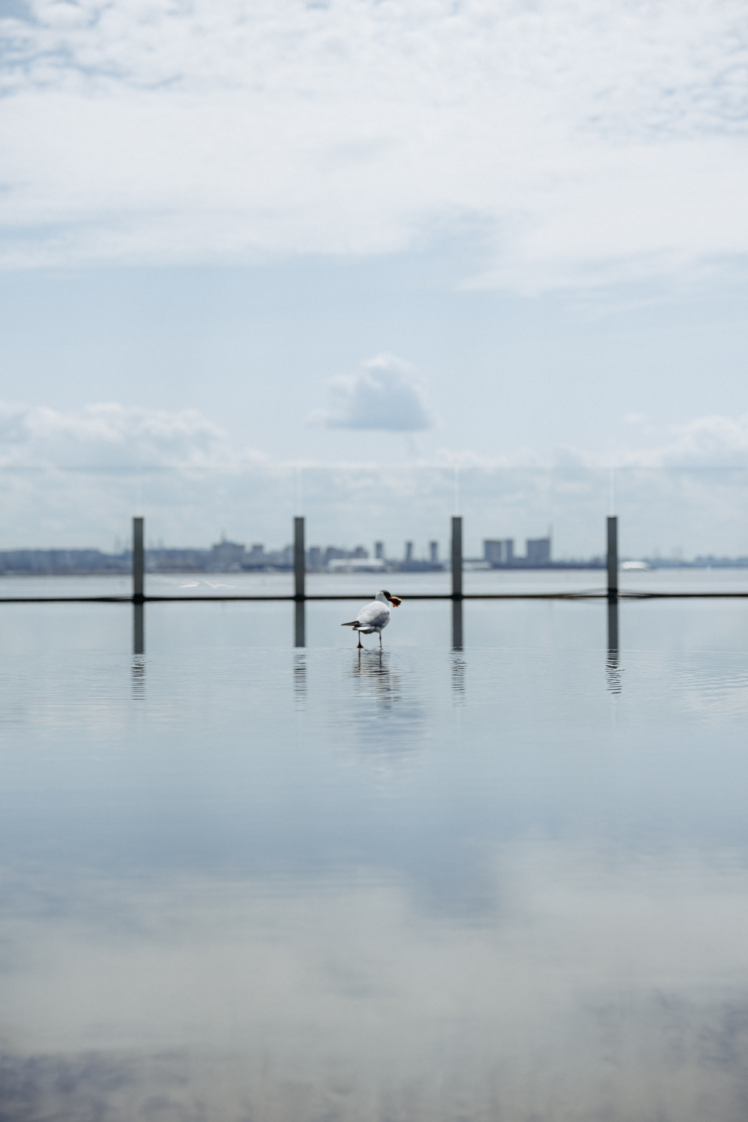 Актёр театра и кино — Иван Савинов. Профессиональный фотограф в Санкт-Петербурге Александр Волосенцев