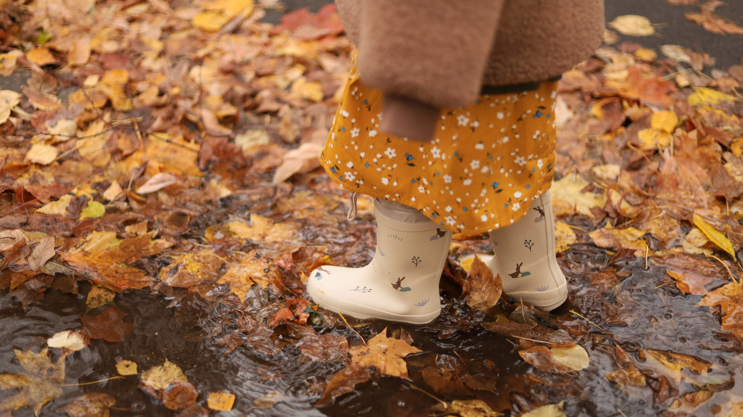 Детская фотография. Семейный и детский фотограф в Москве Анастасия Крейнина